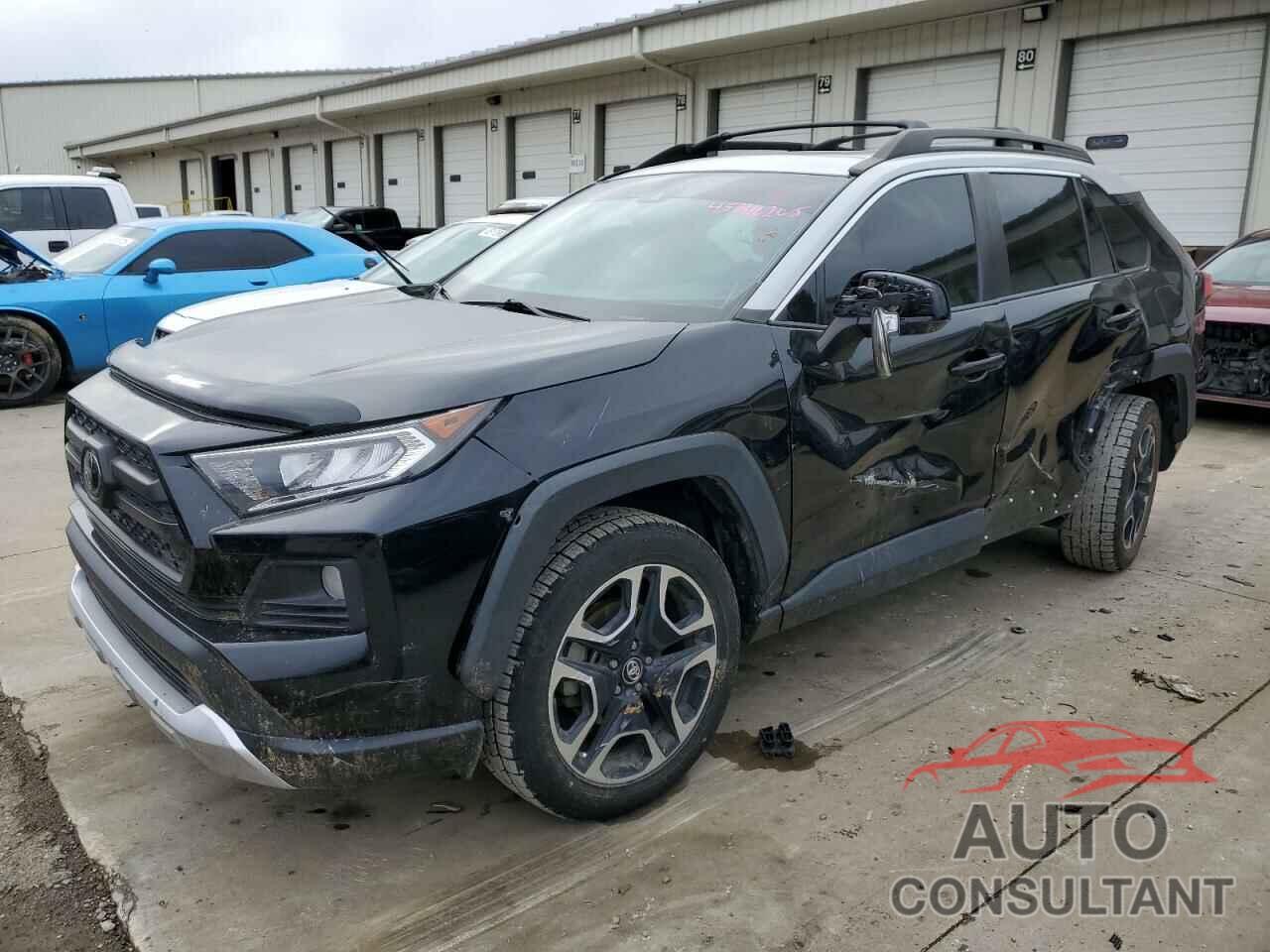 TOYOTA RAV4 2019 - 2T3J1RFV8KW030547