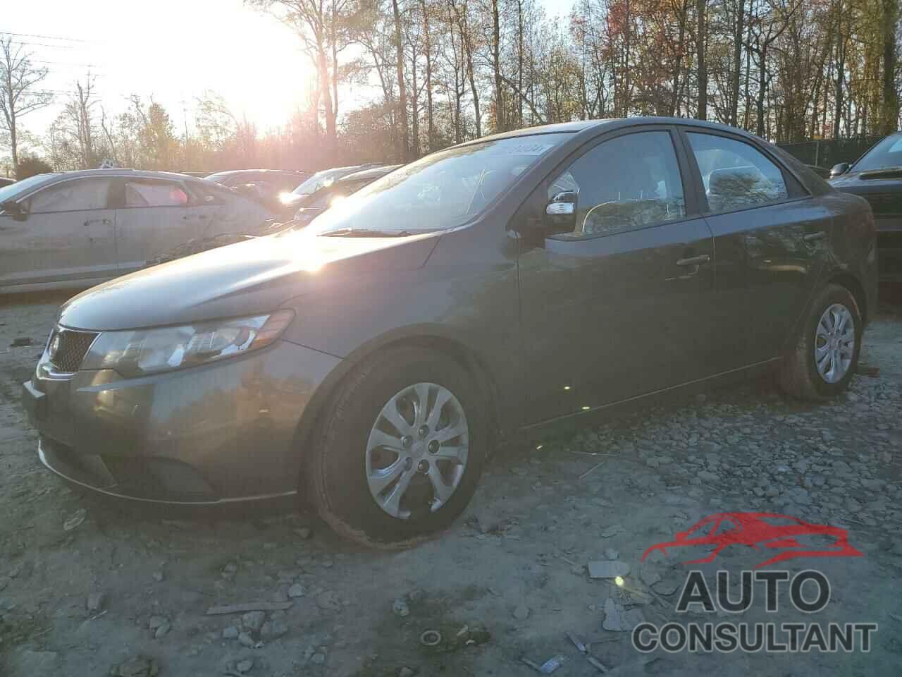 KIA FORTE 2010 - KNAFU4A2XA5850063