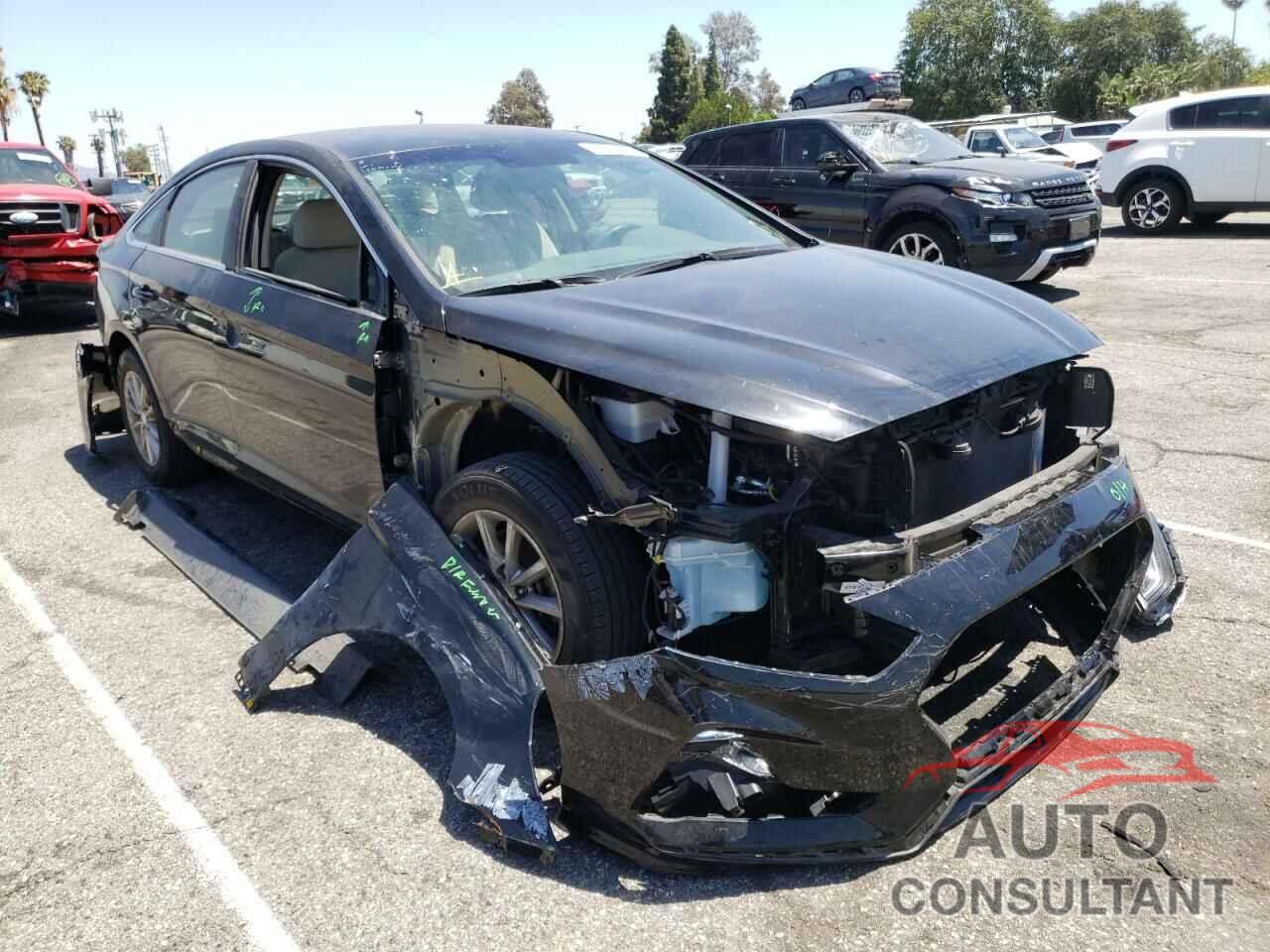 HYUNDAI SONATA 2019 - 5NPE24AF3KH819228