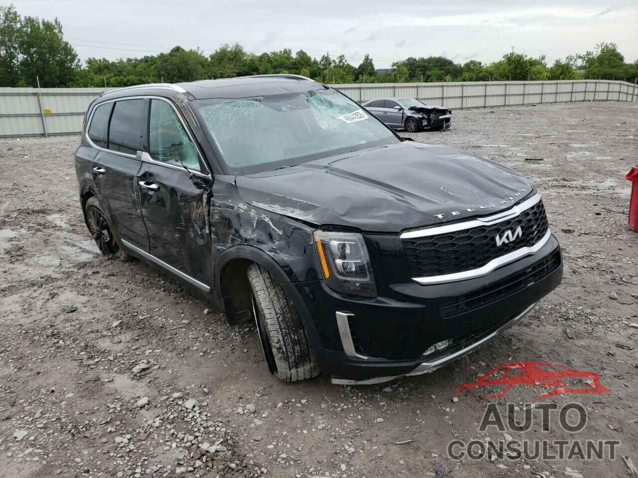 KIA TELLURIDE 2022 - 5XYP5DHC6NG252715