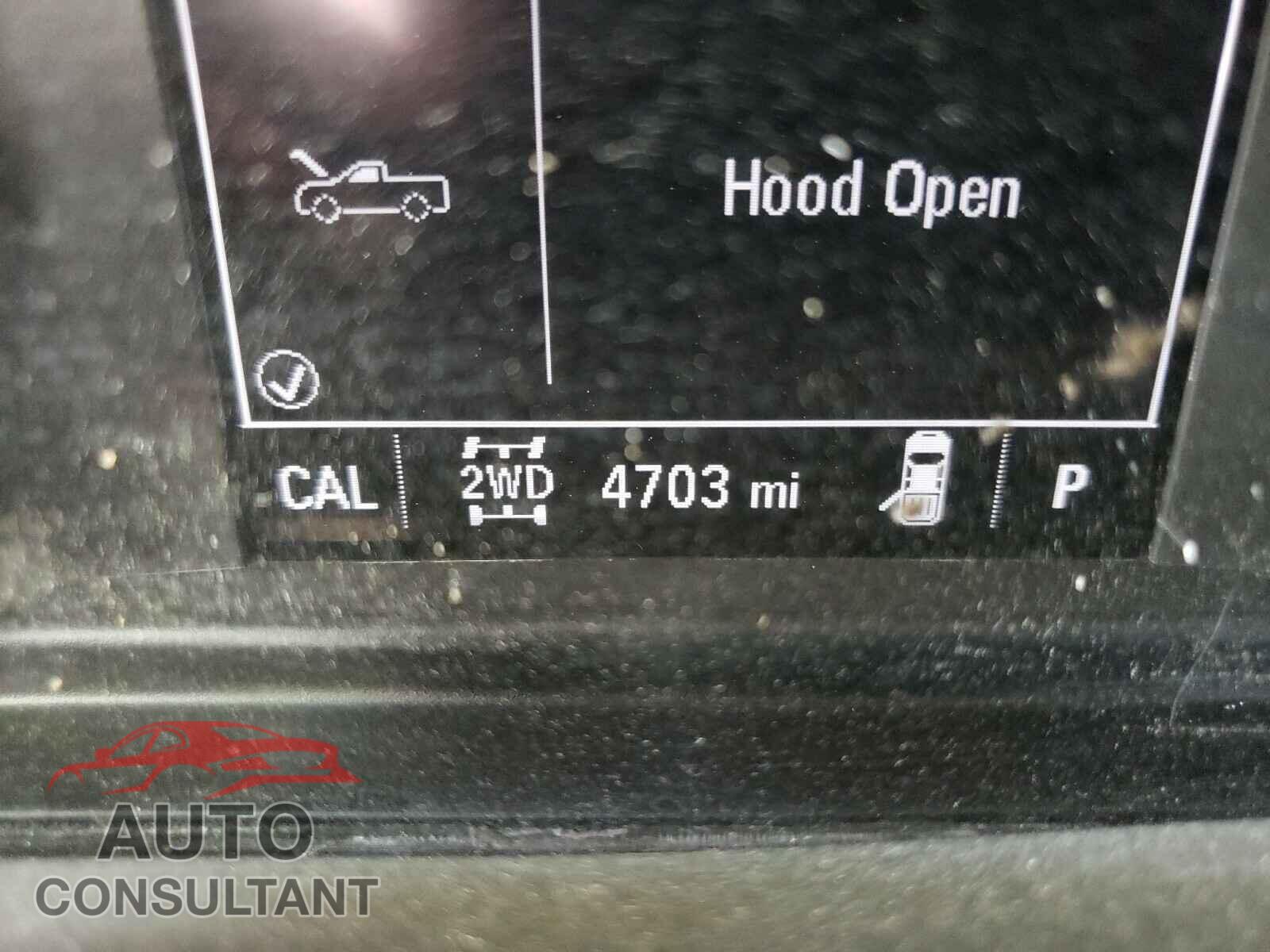 CHEVROLET SILVERADO 2020 - 1GC1YLE77LF184584