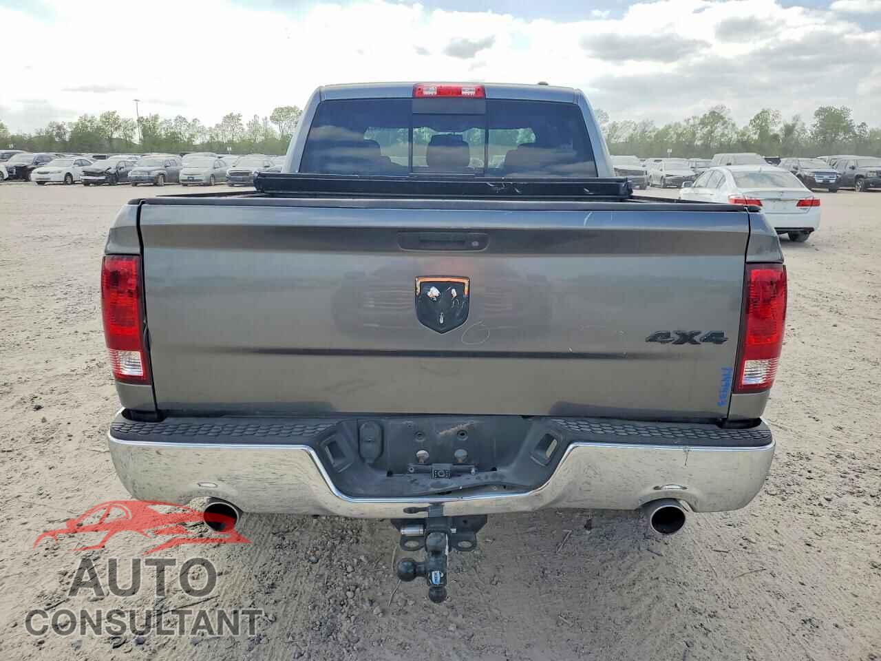 DODGE RAM 1500 2009 - 1D3HB13T29S730607