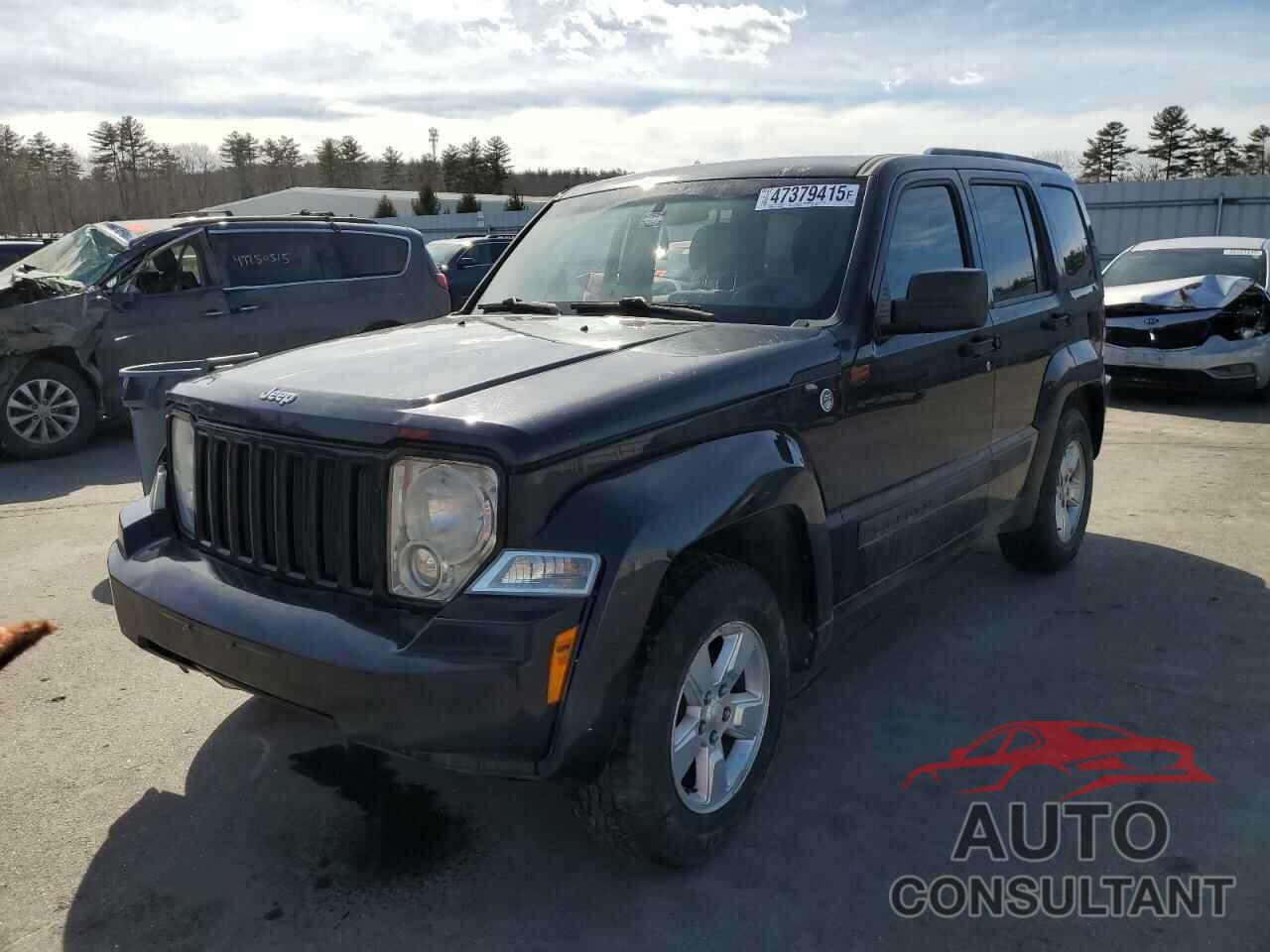 JEEP LIBERTY 2011 - 1J4PN2GK8BW516524