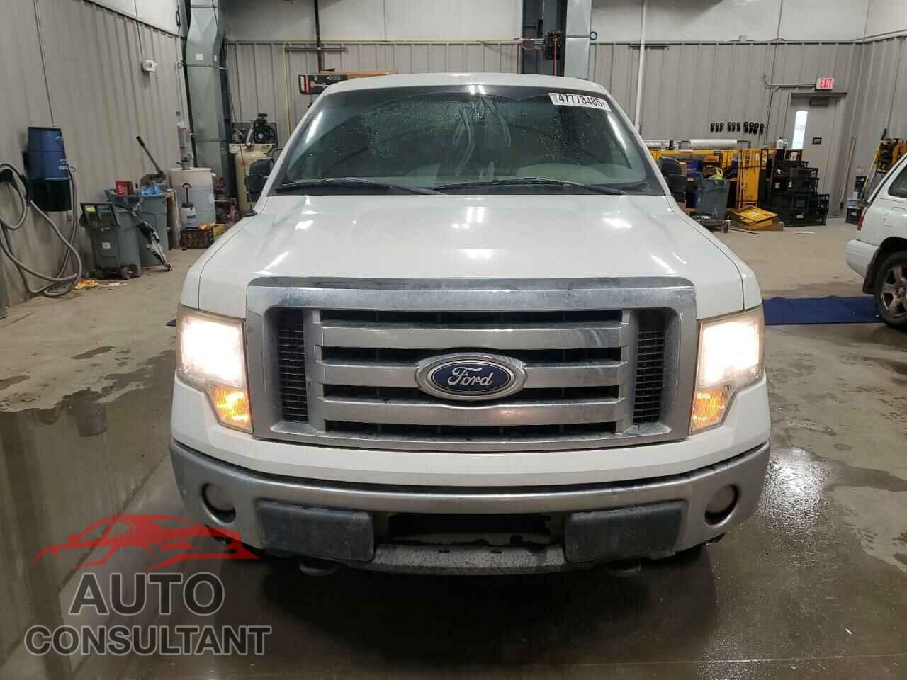 FORD F-150 2011 - 1FTFW1EF7BKD06261