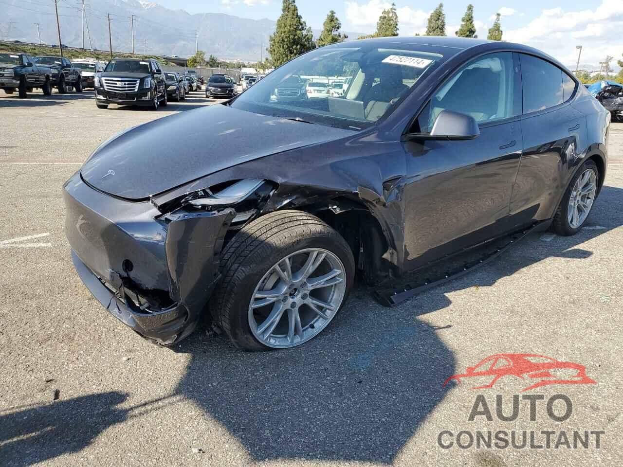 TESLA MODEL Y 2023 - 7SAYGAEE7PF910798