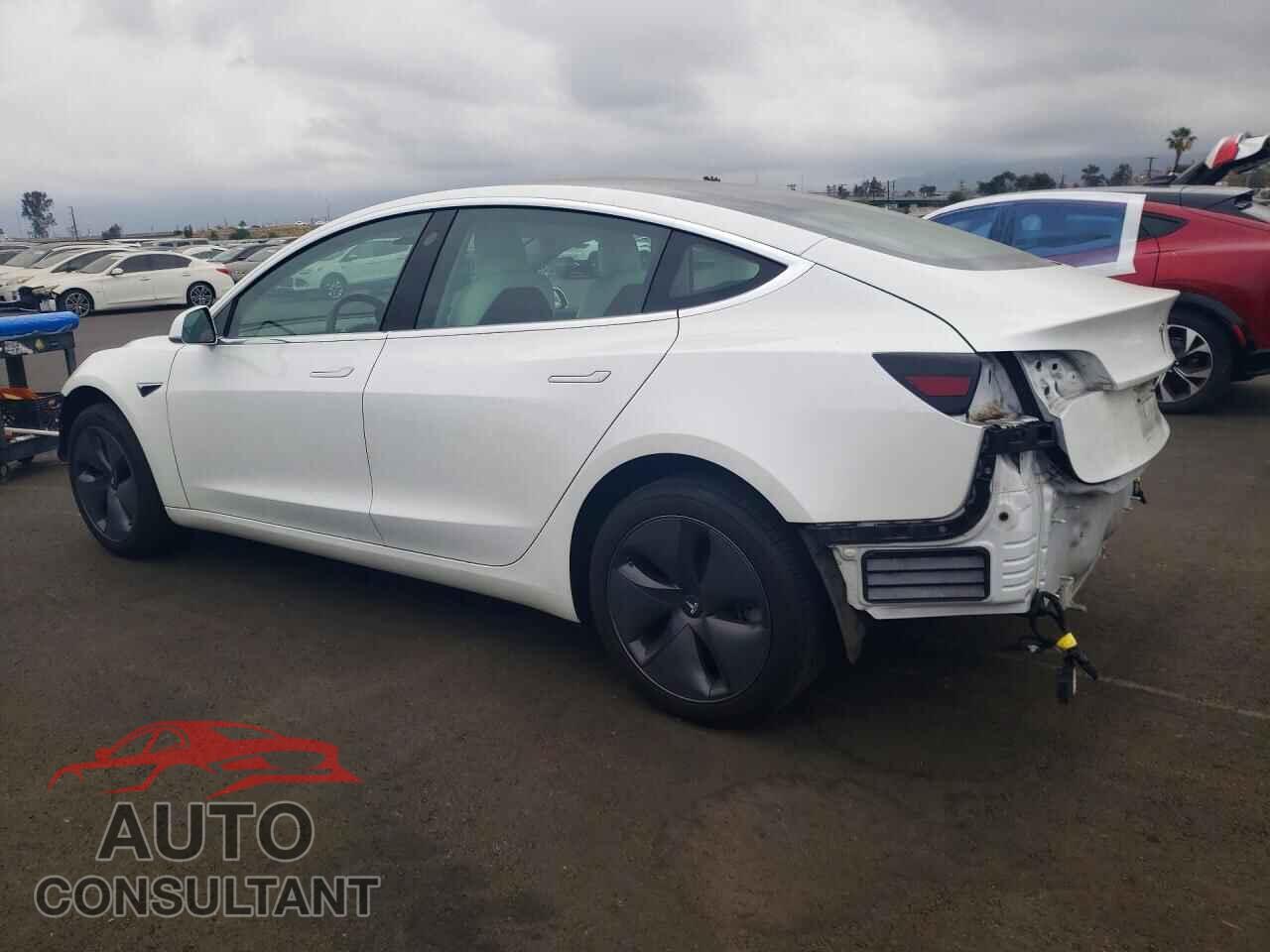 TESLA MODEL 3 2019 - 5YJ3E1EA1KF509248