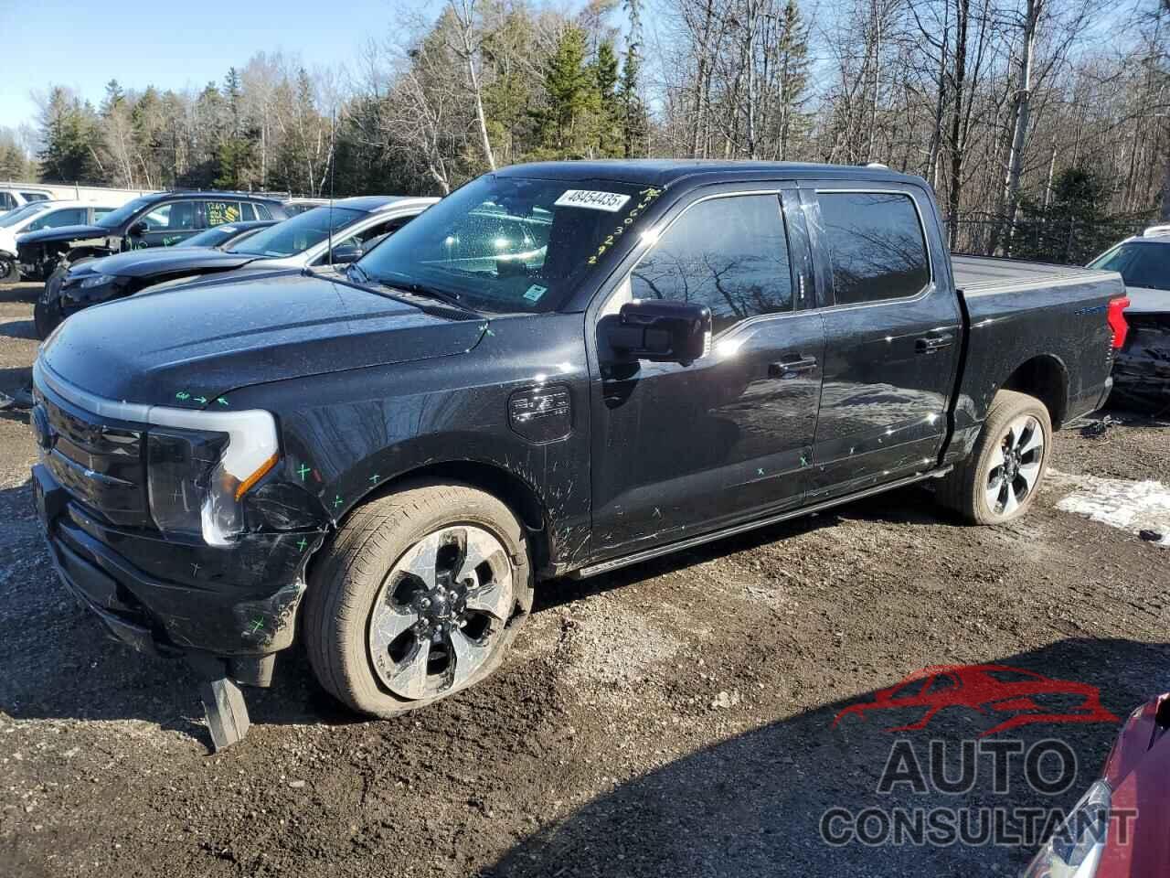 FORD F150 LIGHT 2023 - 1FT6W1EV3PWG03292