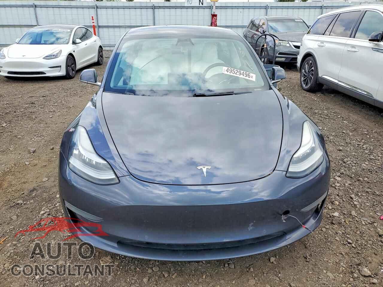 TESLA MODEL 3 2019 - 5YJ3E1EB4KF195250