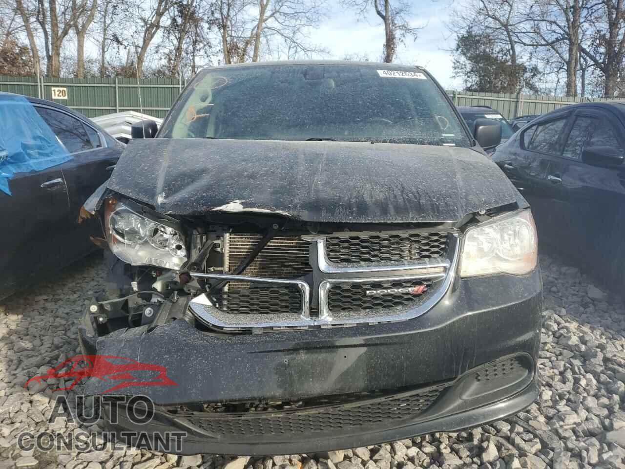 DODGE CARAVAN 2019 - 2C4RDGBG2KR615382