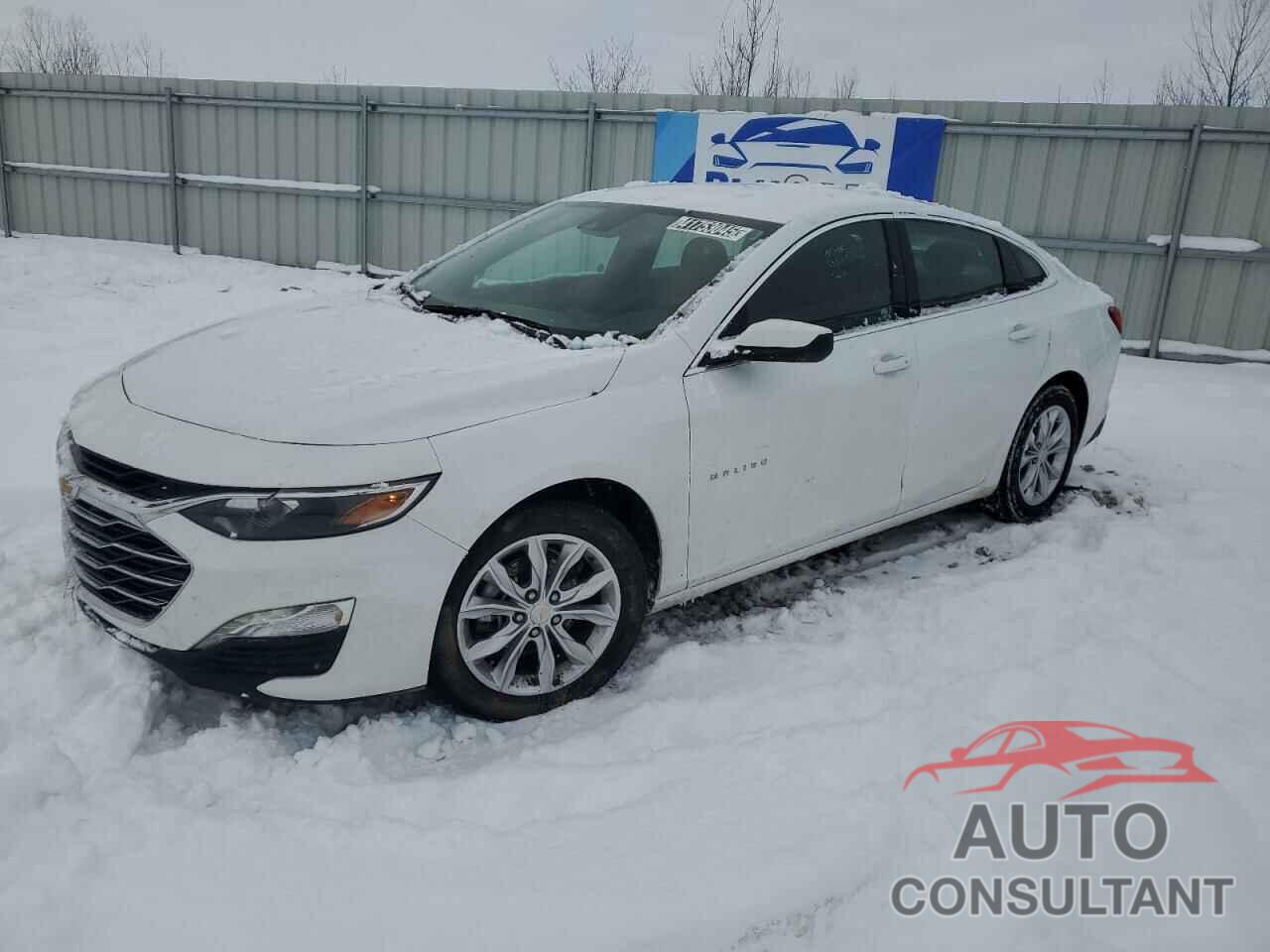 CHEVROLET MALIBU 2024 - 1G1ZD5STXRF174631