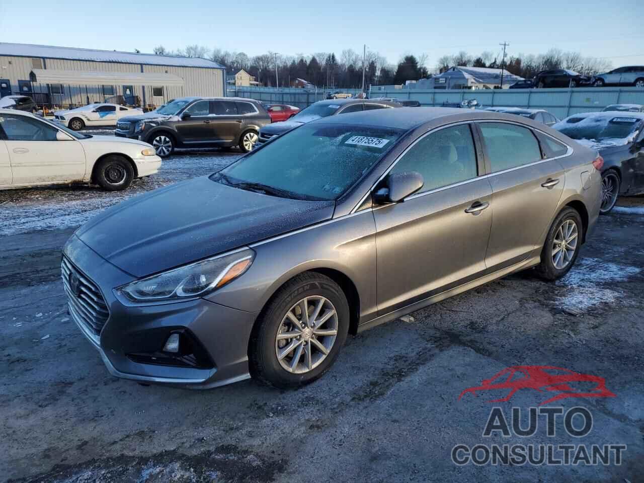 HYUNDAI SONATA 2019 - 5NPE24AF6KH765505