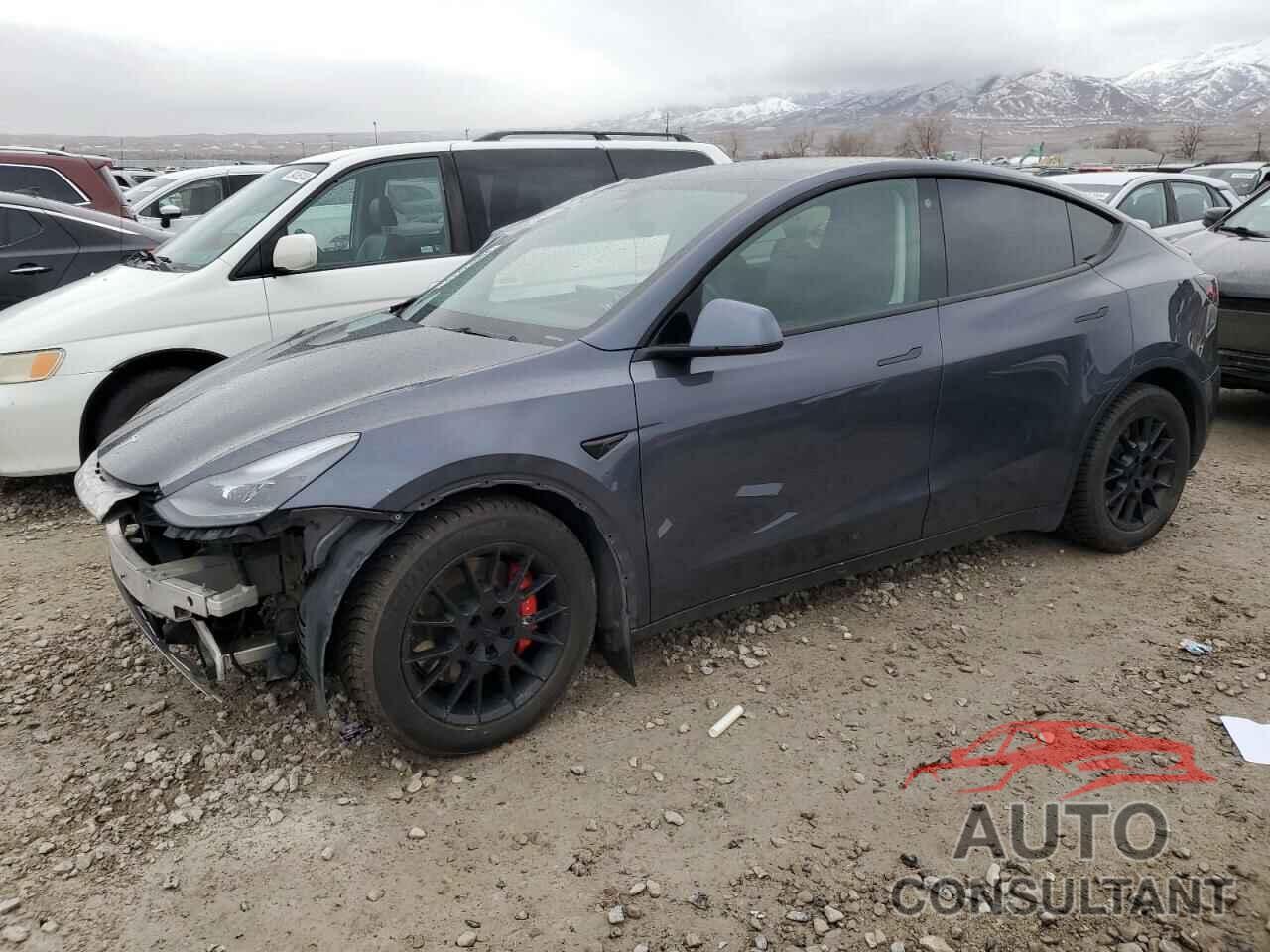 TESLA MODEL Y 2022 - 7SAYGDEF0NF307523