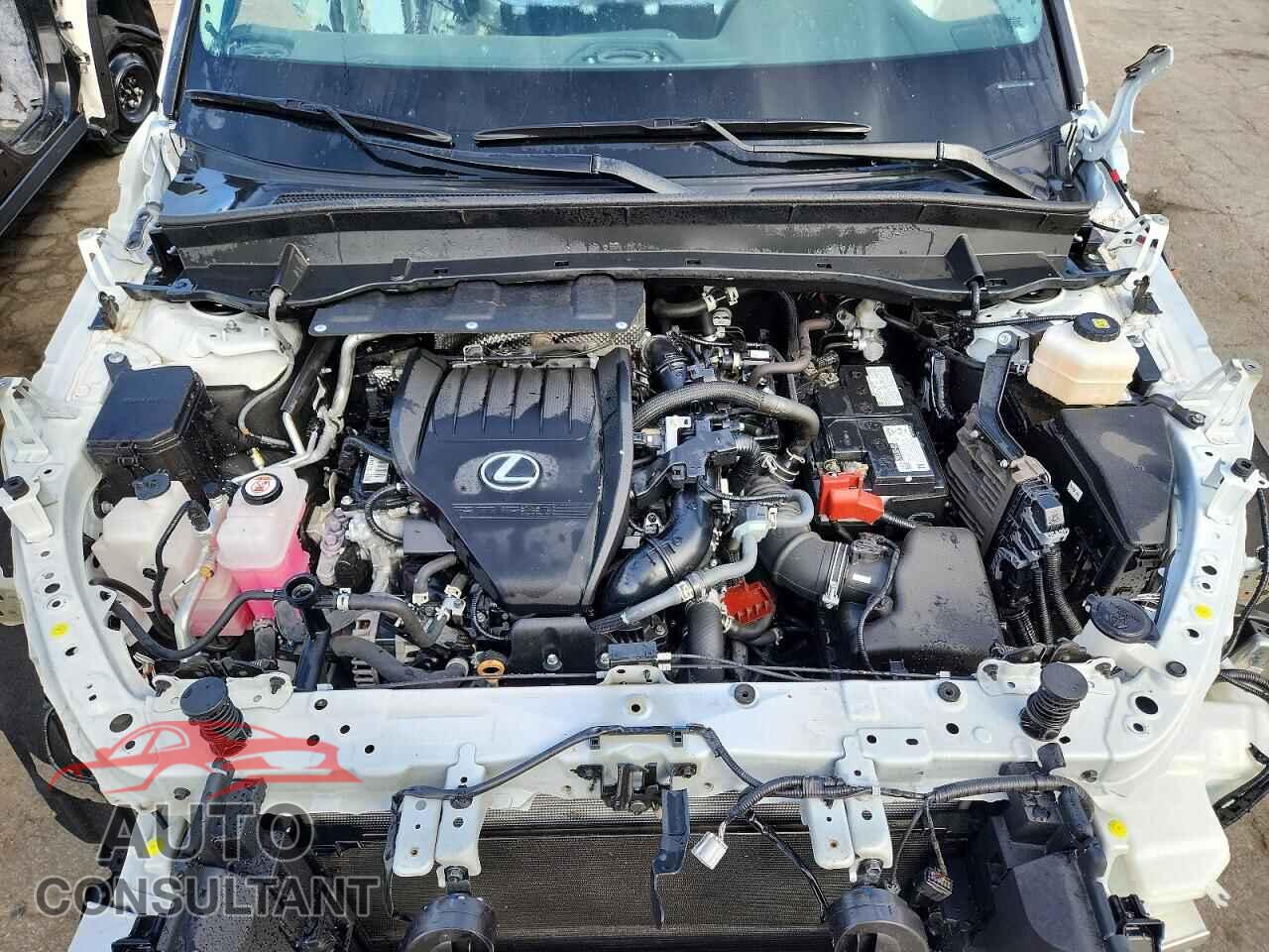 LEXUS UNKNOWN 2024 - 5TDAAAA64RS011944