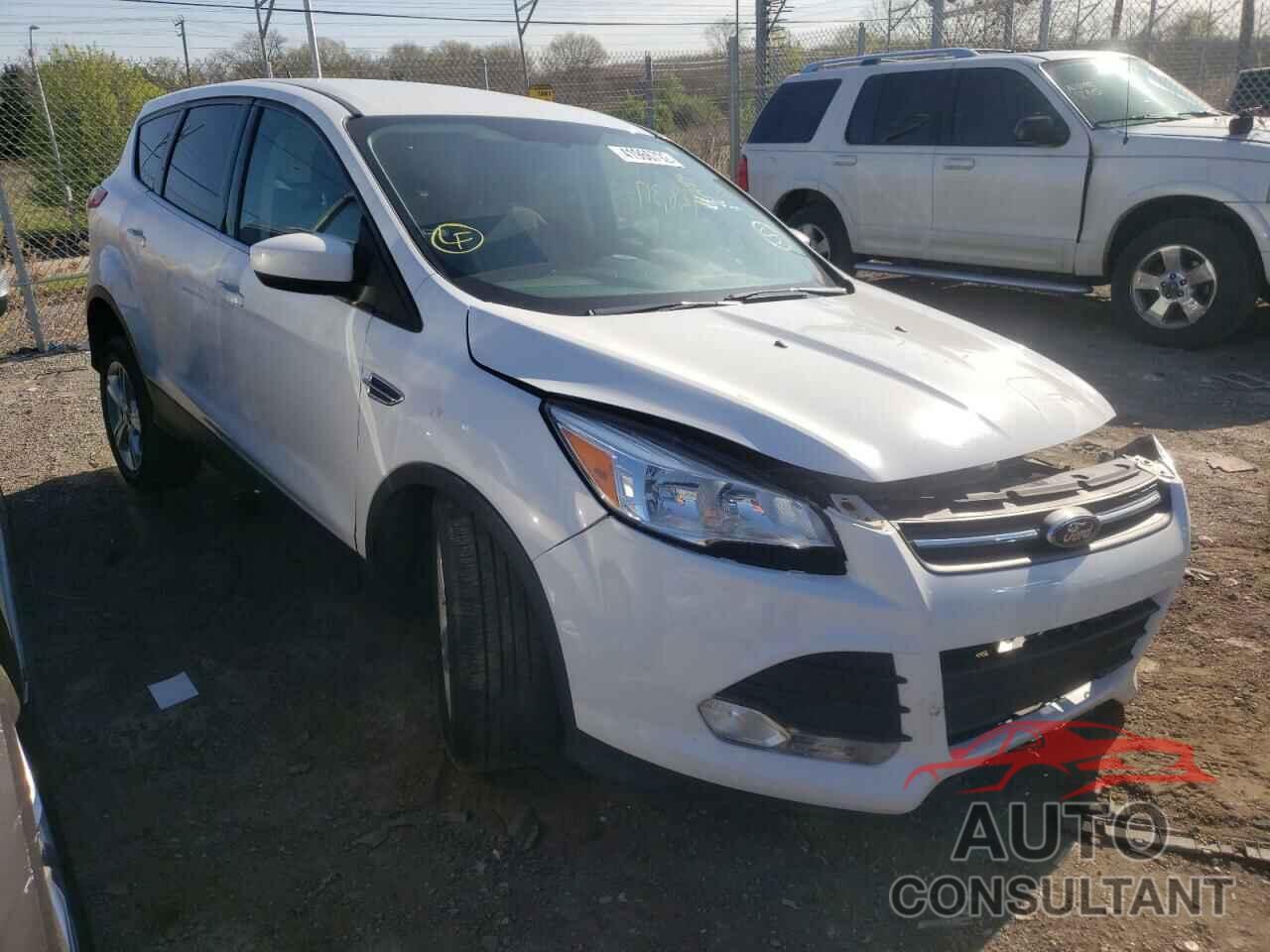 FORD ESCAPE 2016 - 1FMCU0GX5GUB20508