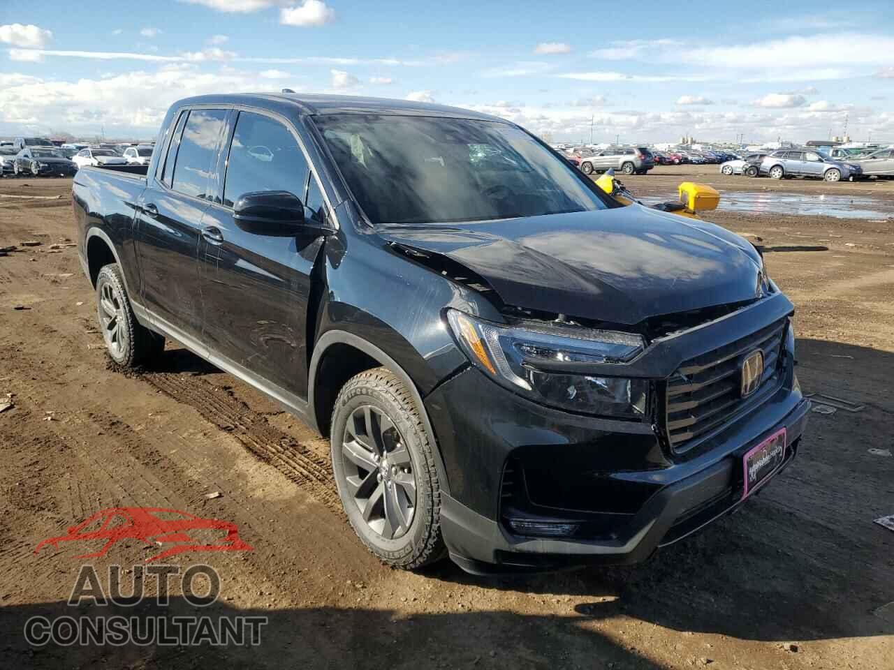 HONDA RIDGELINE 2023 - 5FPYK3F13PB057116