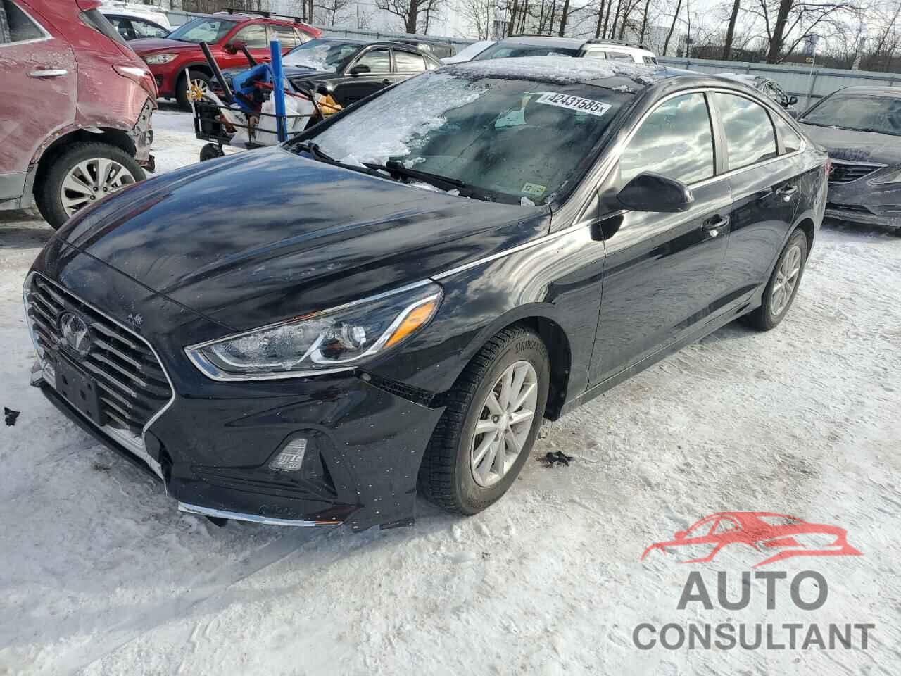 HYUNDAI SONATA 2019 - 5NPE24AF3KH759161