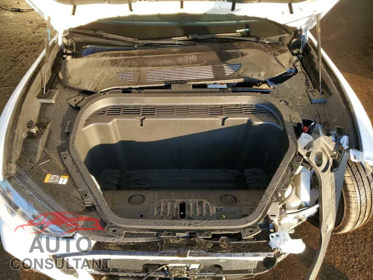 FORD MUSTANG 2024 - 3FMTK3SU2RMA04520
