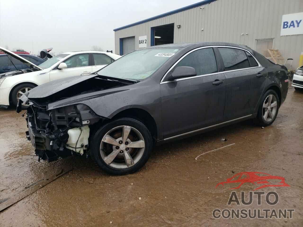 CHEVROLET MALIBU 2011 - 1G1ZC5E17BF315416