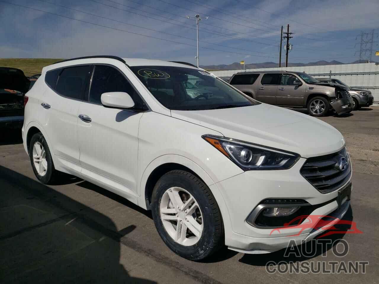 HYUNDAI SANTA FE 2017 - 5NMZUDLB1HH020138