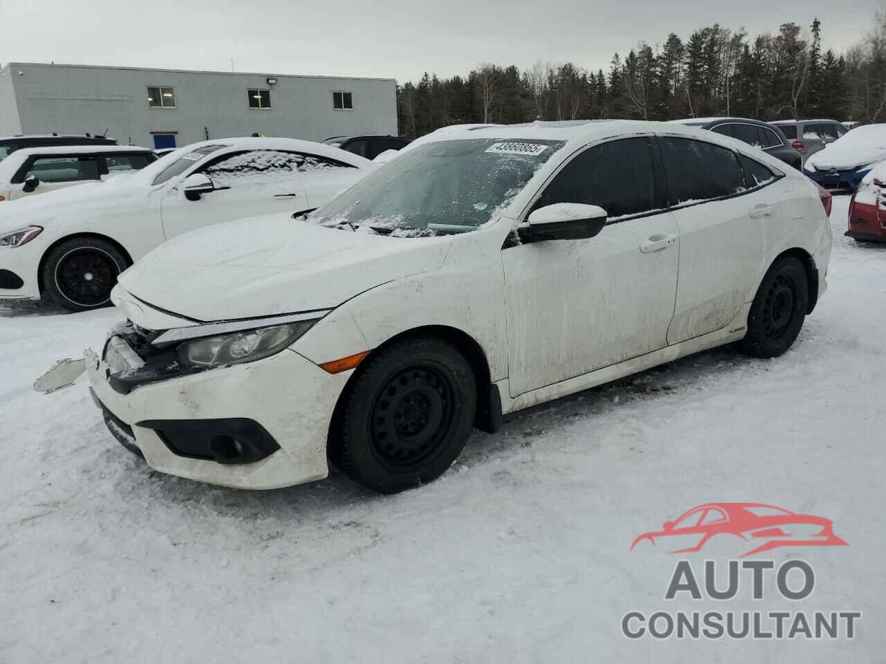 HONDA CIVIC 2016 - 2HGFC1F4XGH100647