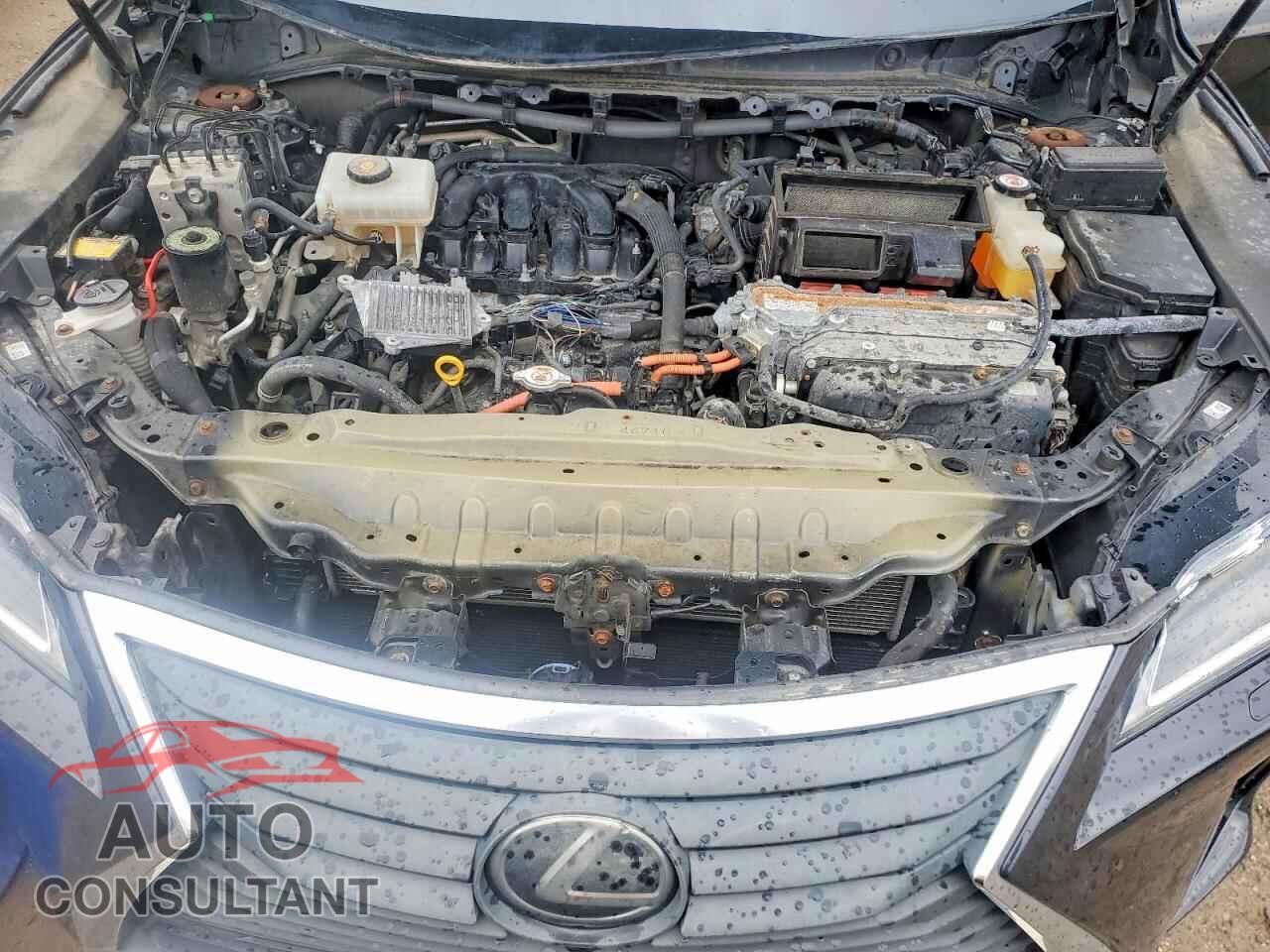 LEXUS RX450 2019 - 2T2BGMCA9KC033681