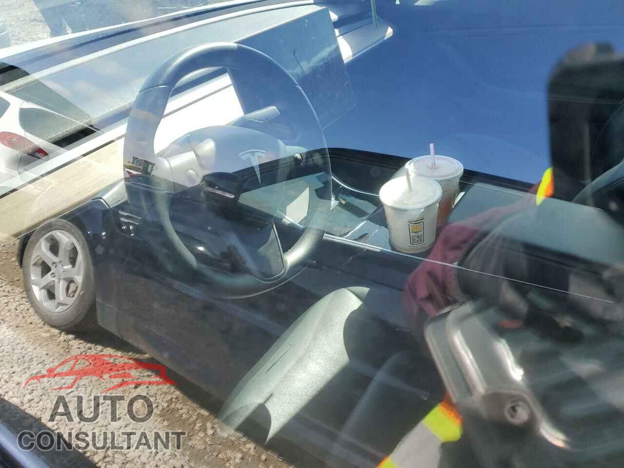 TESLA MODEL 3 2019 - 5YJ3E1EB7KF213031