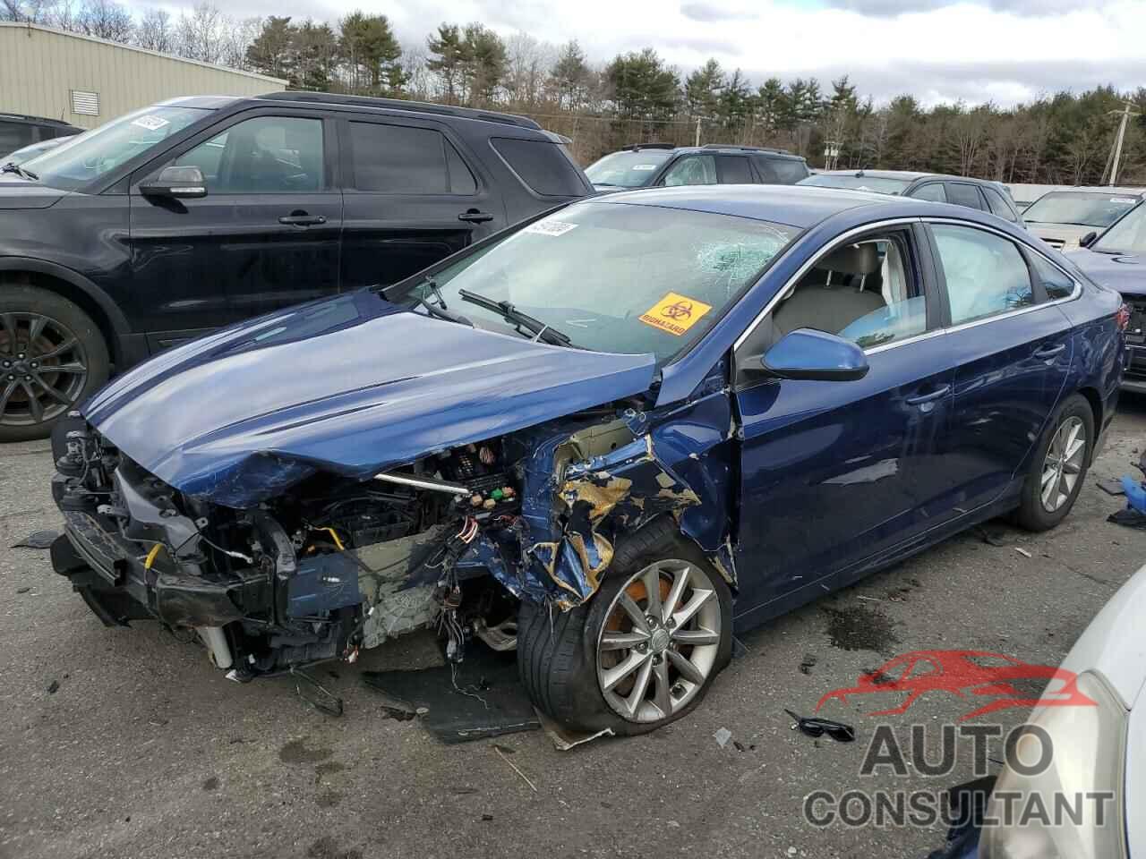 HYUNDAI SONATA 2018 - 5NPE24AF8JH601736