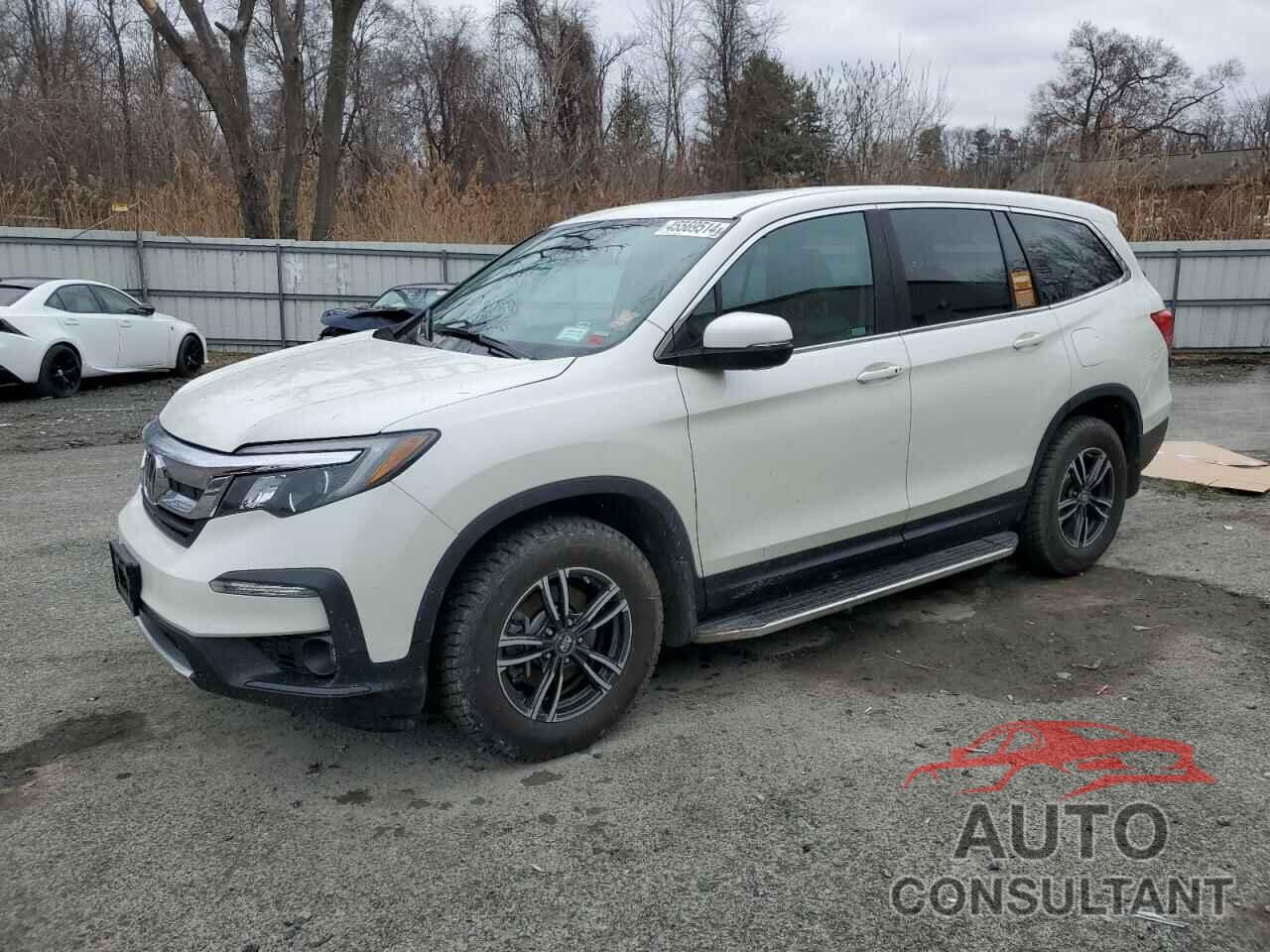 HONDA PILOT 2019 - 5FNYF6H50KB055329