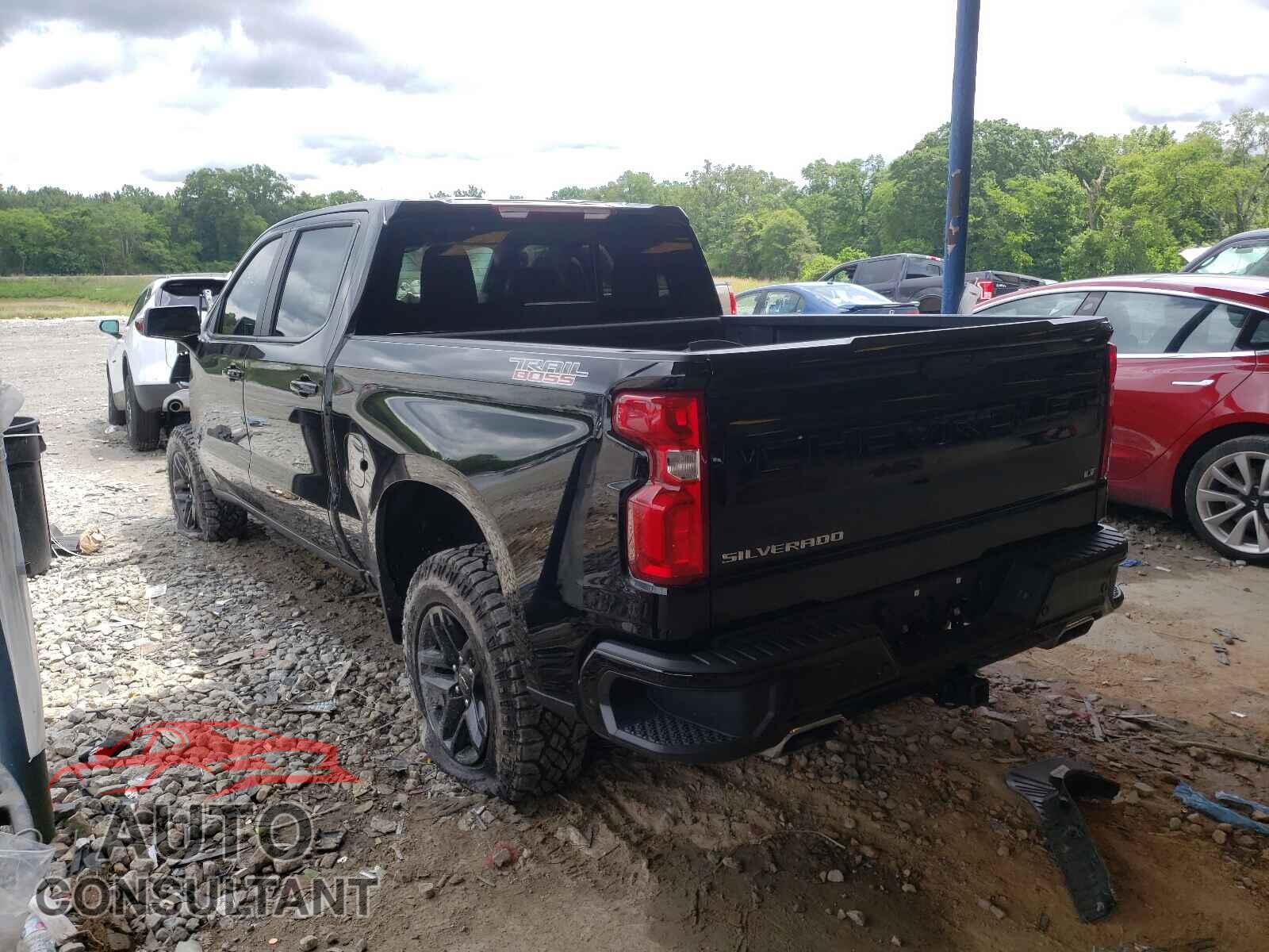 CHEVROLET SILVERADO 2020 - 3GCPYFEL2LG366281