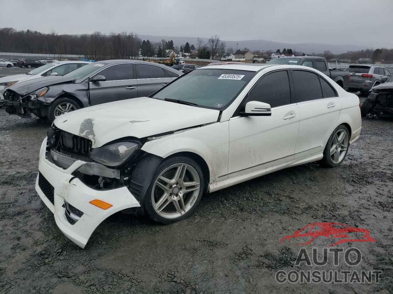 MERCEDES-BENZ C-CLASS 2014 - WDDGF8AB9EA938114