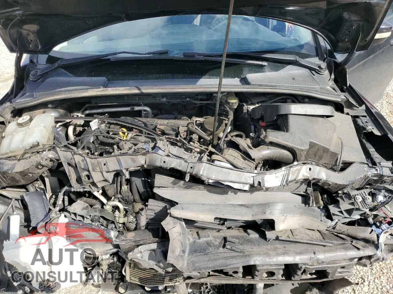FORD FOCUS 2014 - 1FADP3K25EL202714