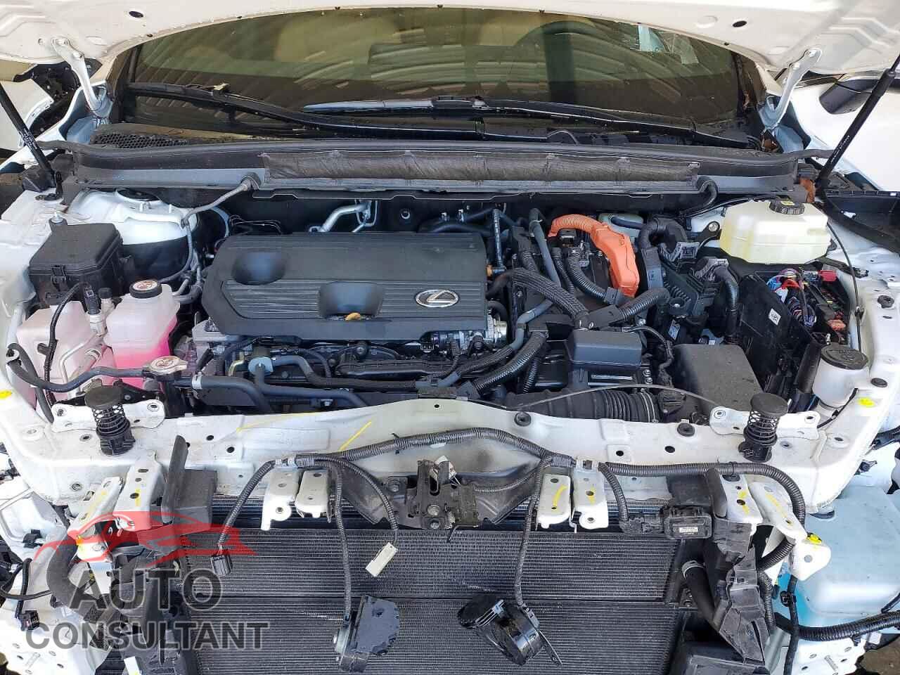 LEXUS UNKNOWN 2025 - 2T2BBMCA2SC080291