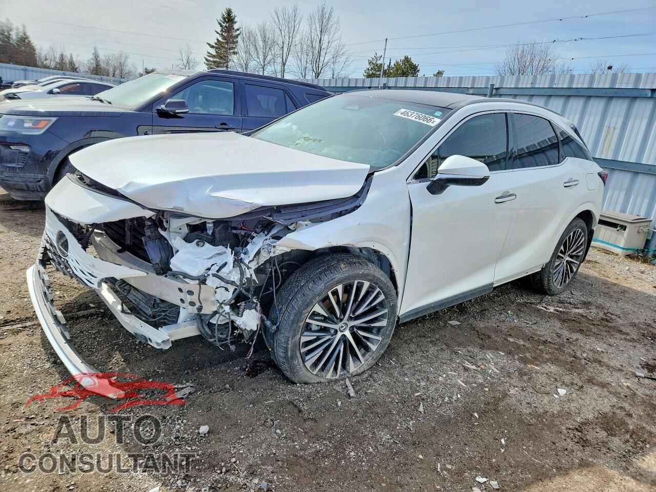 LEXUS UNKNOWN 2024 - 2T2BBMCA6RC034652