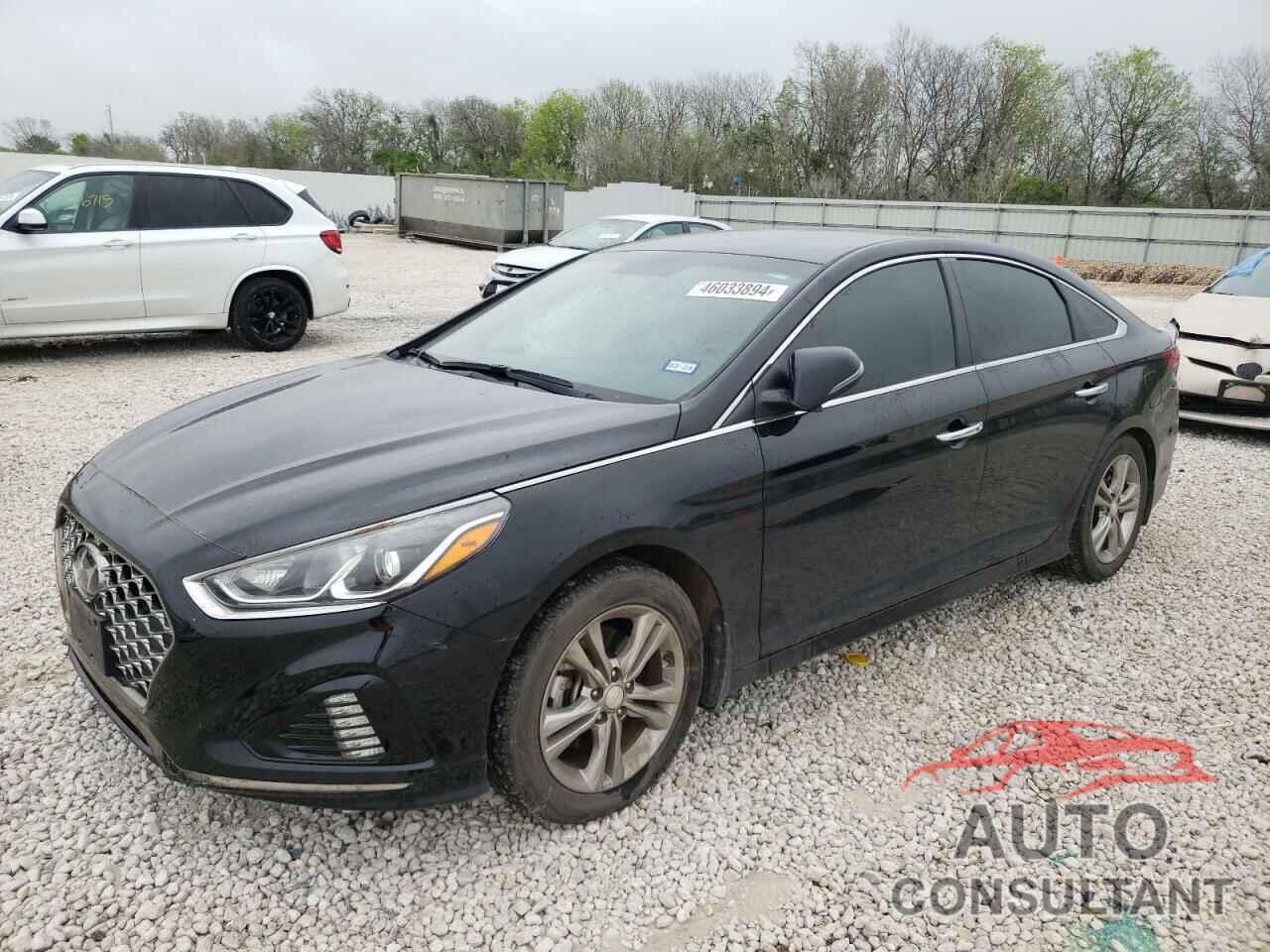 HYUNDAI SONATA 2019 - 5NPE34AF9KH796132