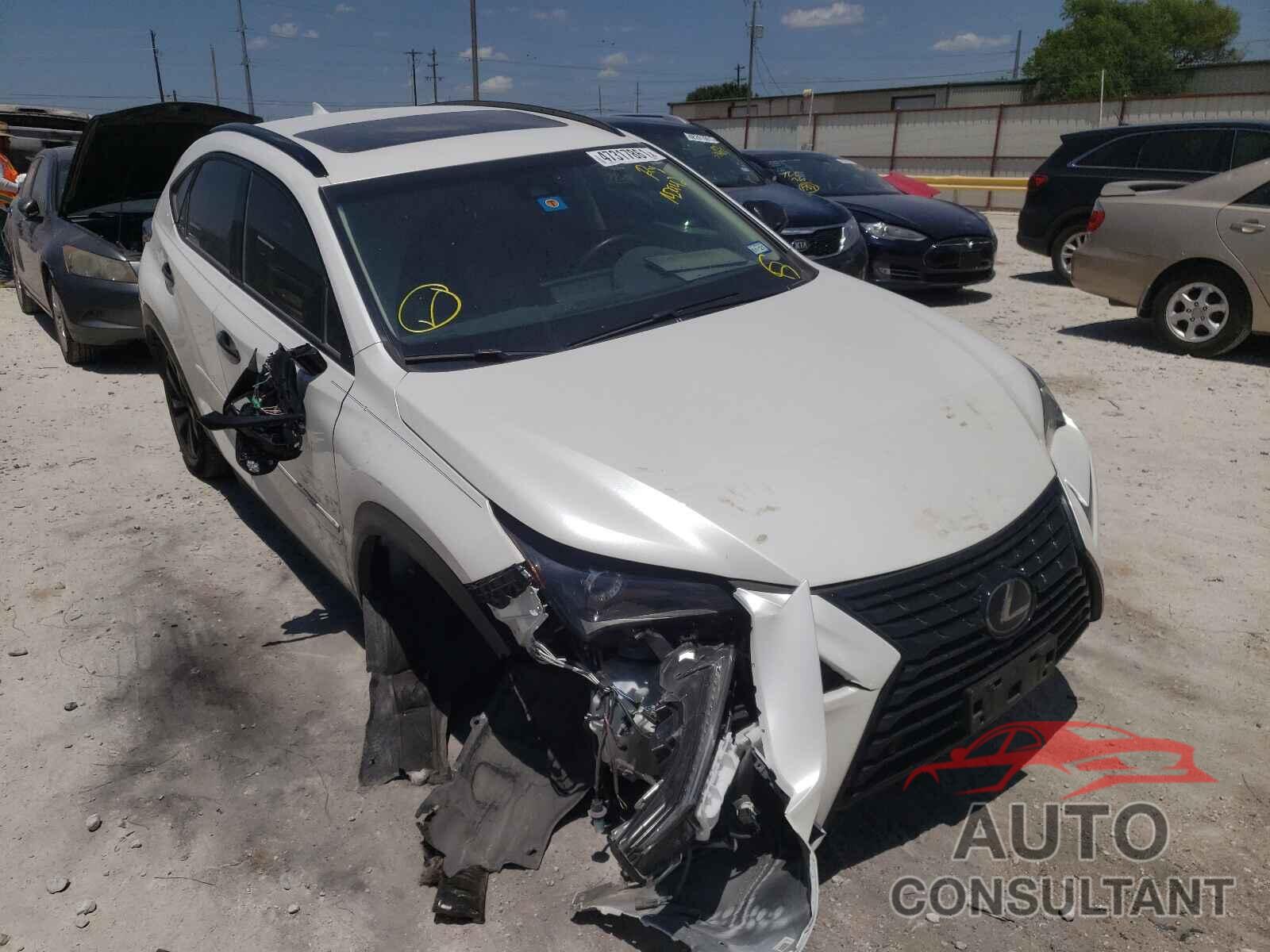 LEXUS NX 2019 - JTJYARBZ8K2142942