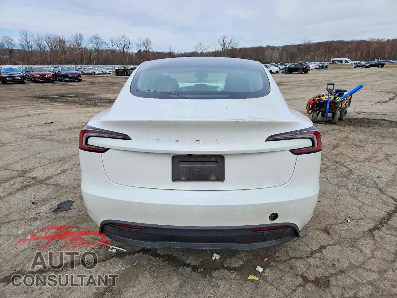 TESLA MODEL 3 2024 - 5YJ3E1EA2RF749919
