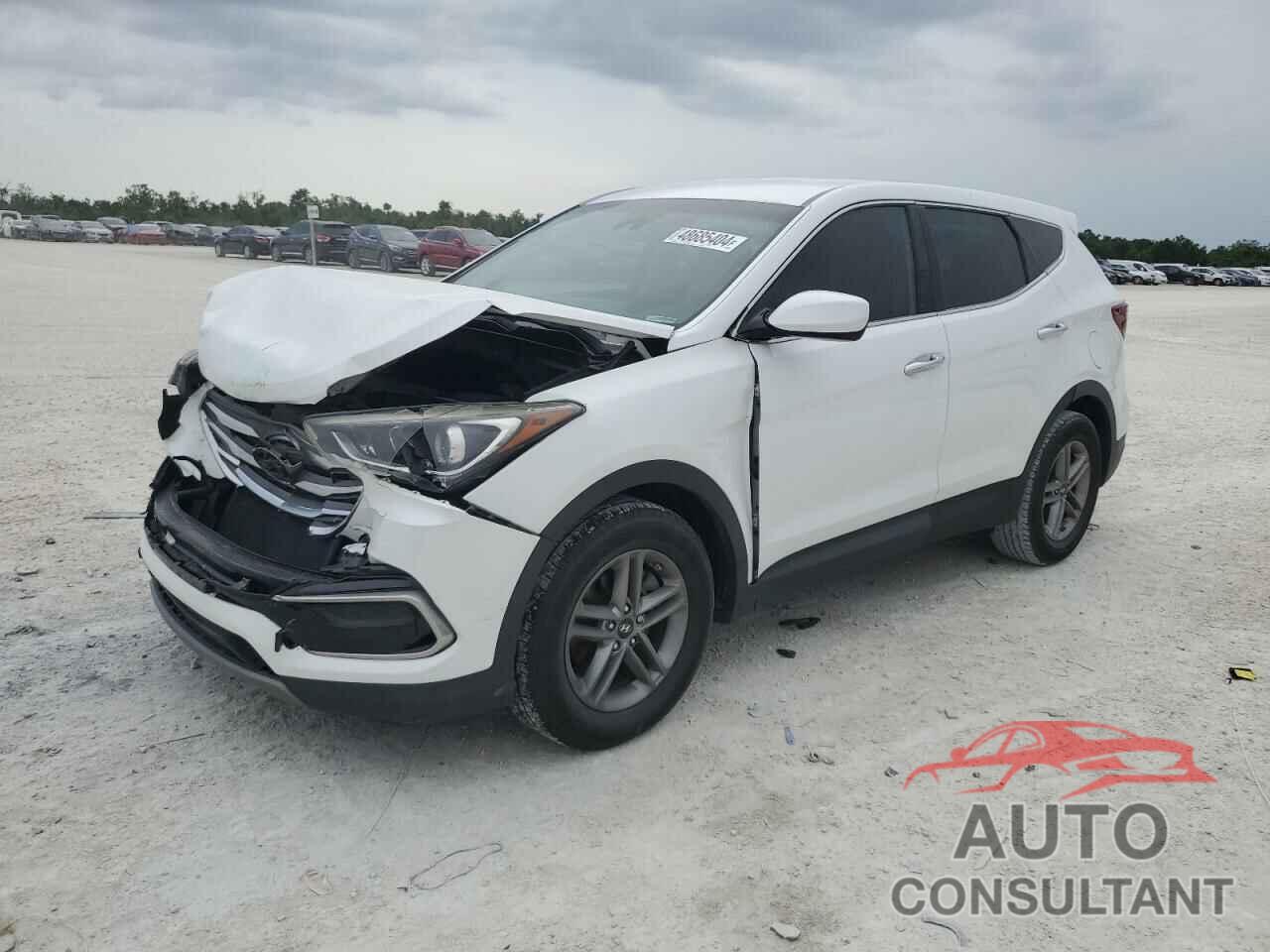 HYUNDAI SANTA FE 2017 - 5NMZT3LB9HH019803