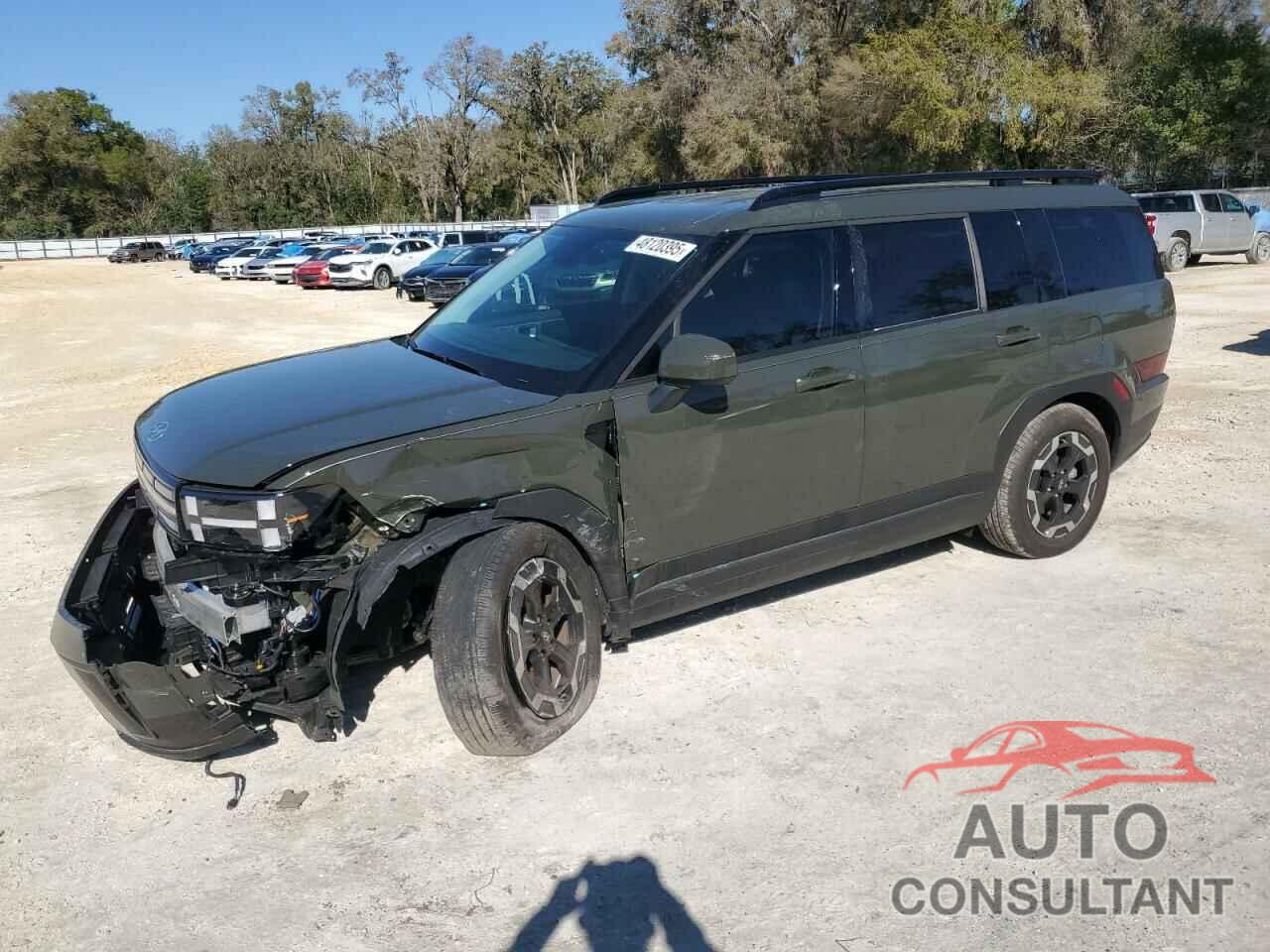 HYUNDAI SANTA FE 2024 - 5NMP24GLXRH004490