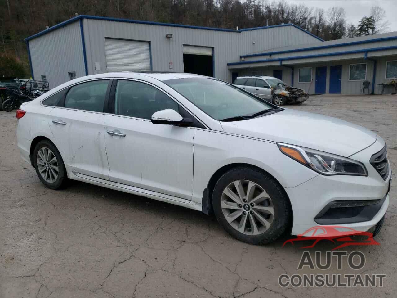 HYUNDAI SONATA 2017 - 5NPE34AF8HH556966