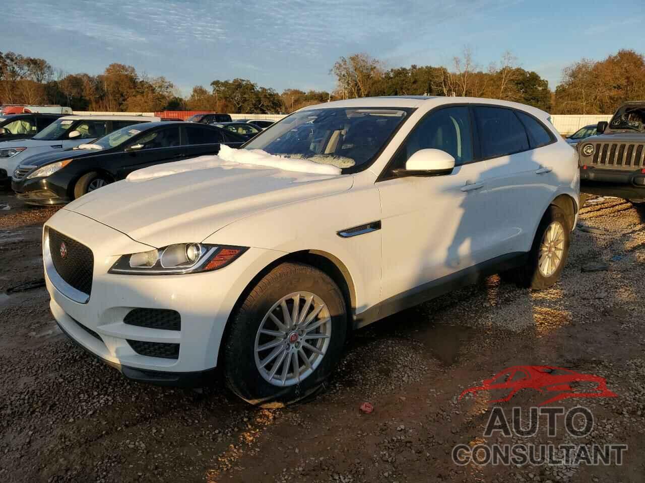 JAGUAR F-PACE 2017 - SADCS2BN8HA085529