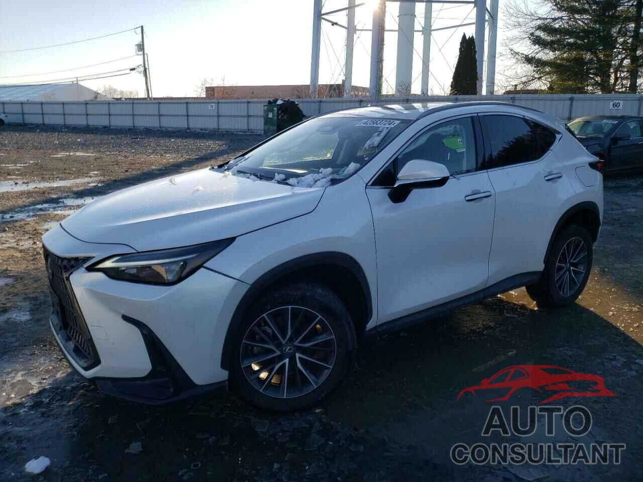 LEXUS NX 350 2022 - JTJAGCEZ8N5000392