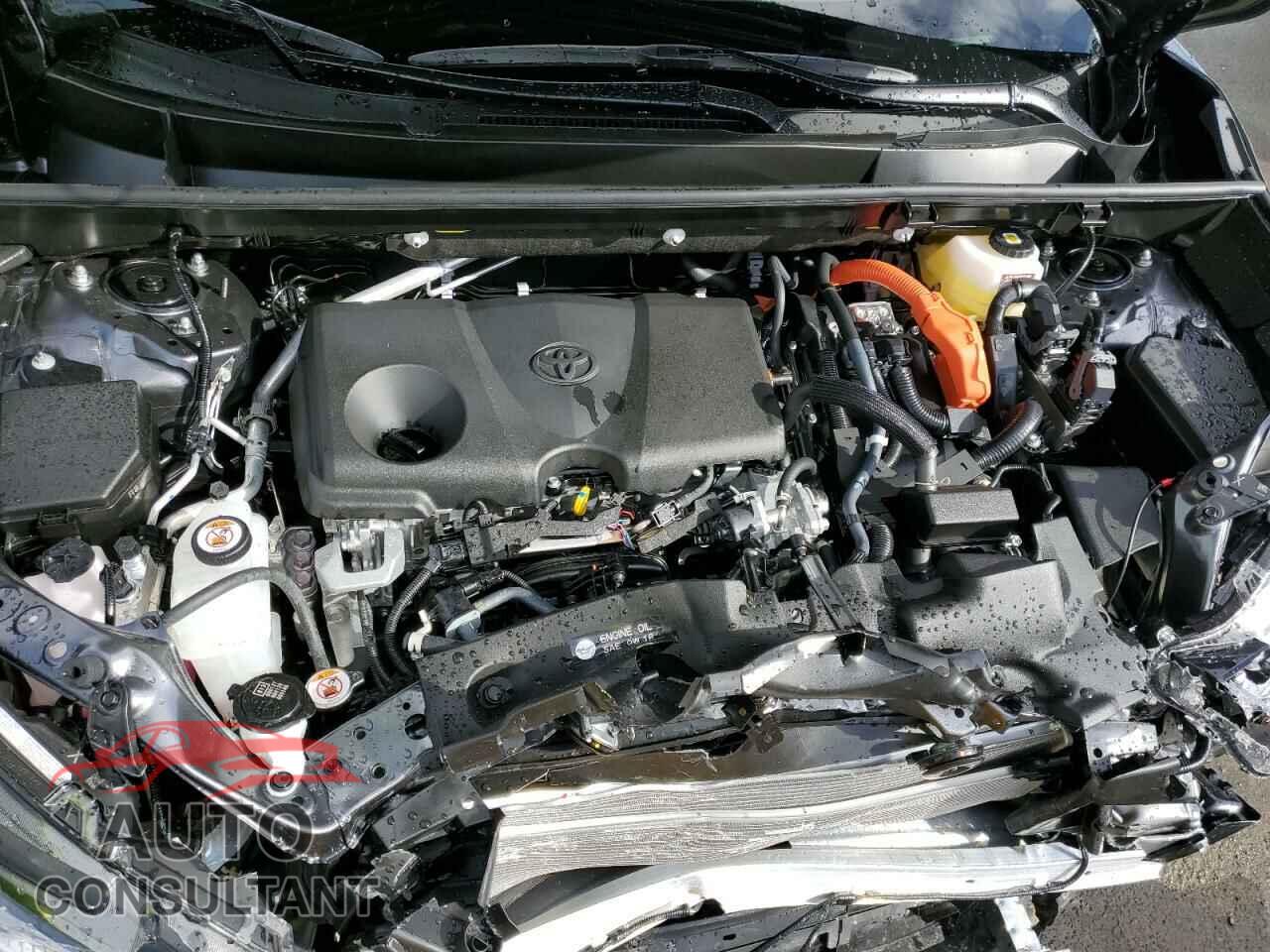 TOYOTA RAV4 2024 - JTMB6RFV3RD124073