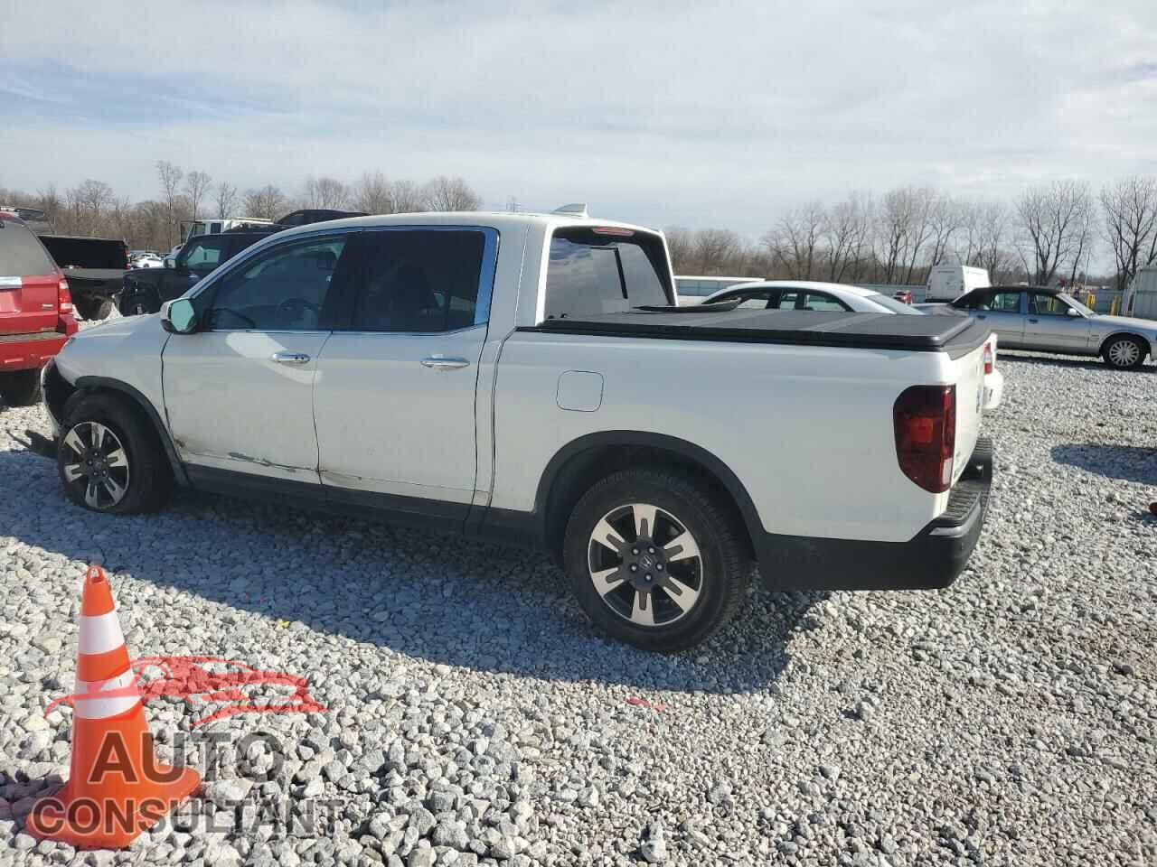 HONDA RIDGELINE 2019 - 5FPYK3F79KB026742