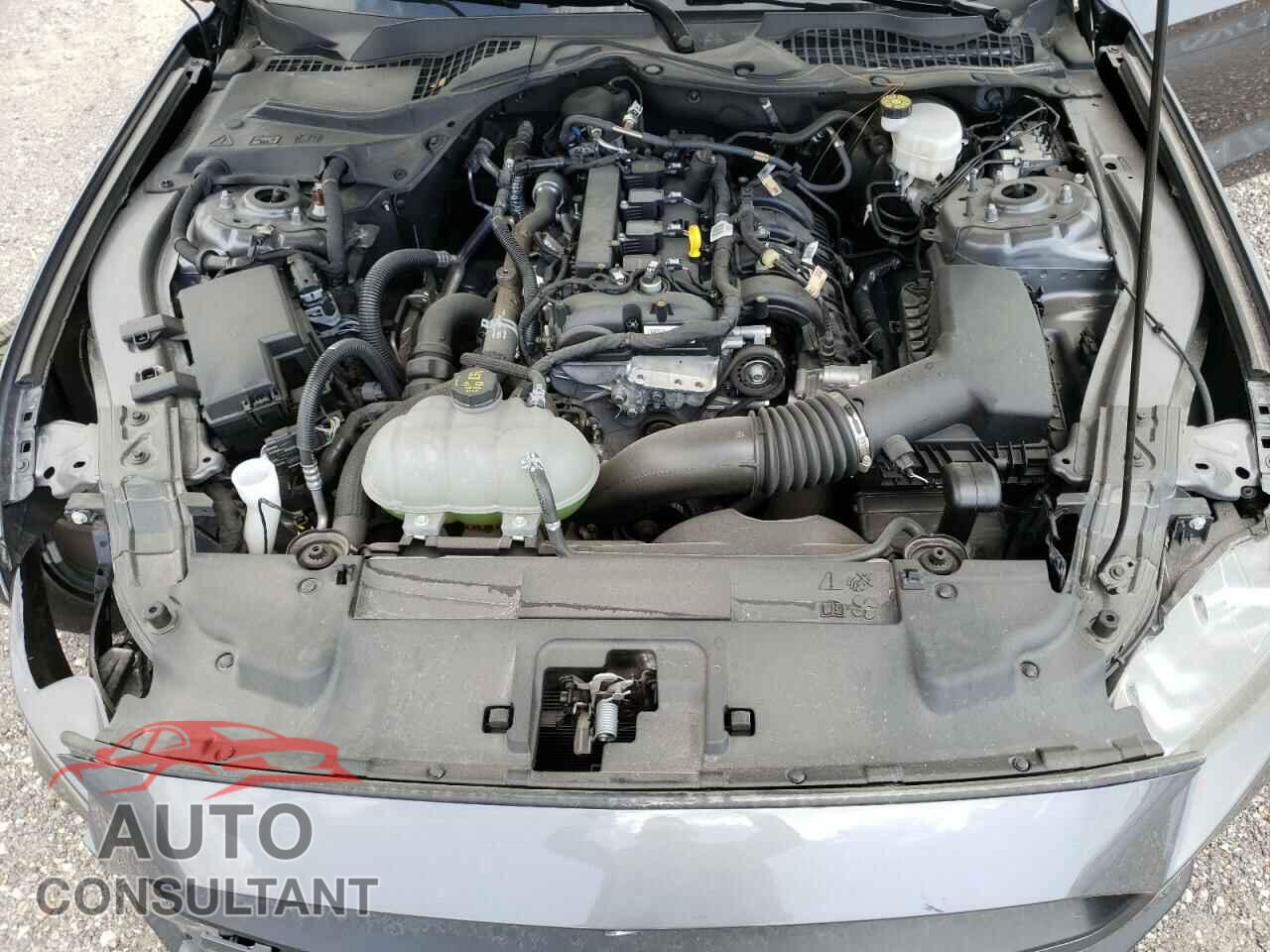FORD MUSTANG 2021 - 1FA6P8TH7M5117823