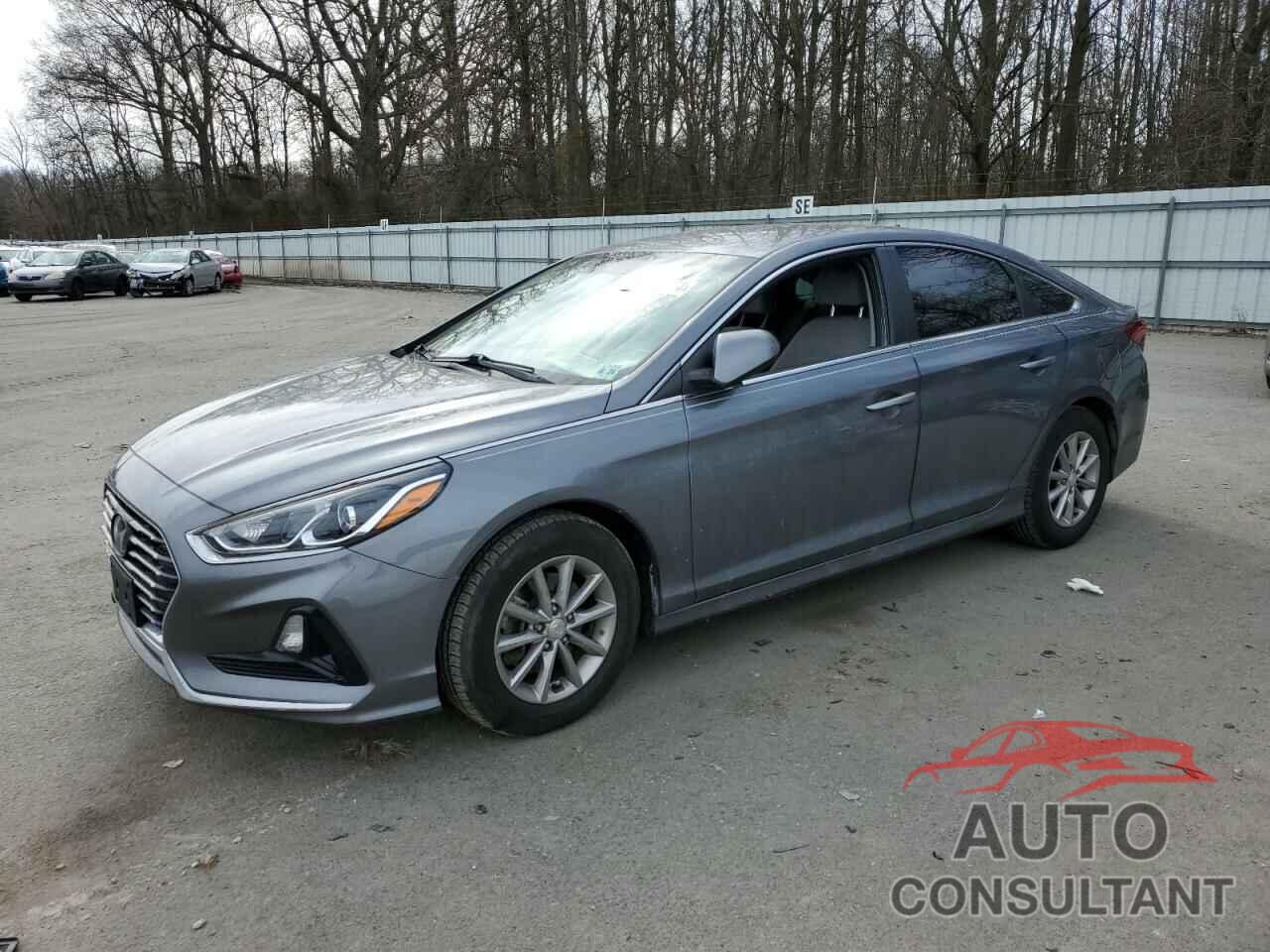 HYUNDAI SONATA 2019 - 5NPE24AFXKH788964
