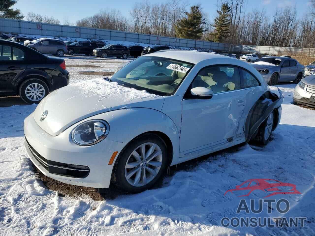 VOLKSWAGEN BEETLE 2015 - 3VWJA7AT0FM610664