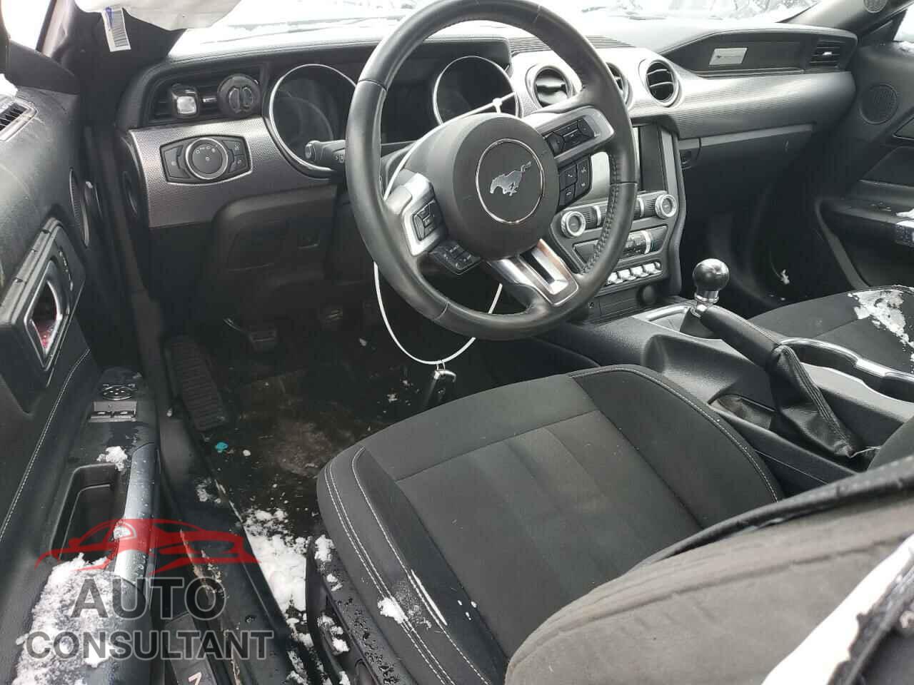 FORD MUSTANG 2021 - 1FA6P8CF1M5116536