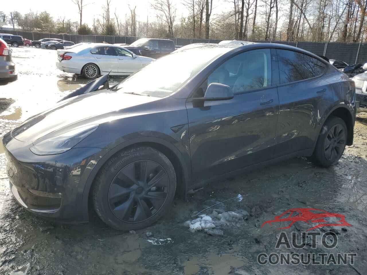 TESLA MODEL Y 2024 - 7SAYGDEE1RF115217