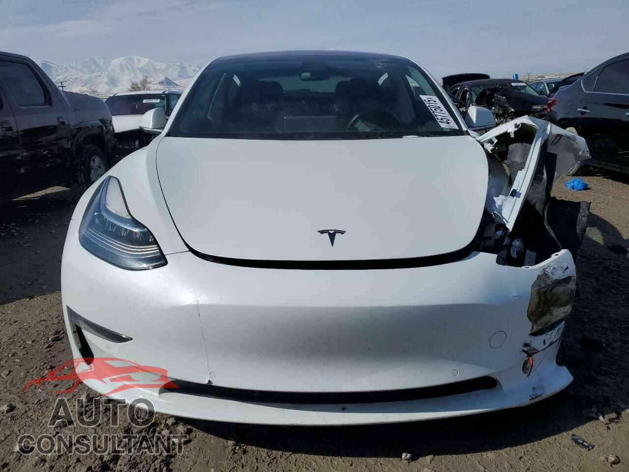 TESLA MODEL 3 2019 - 5YJ3E1EA4KF208392