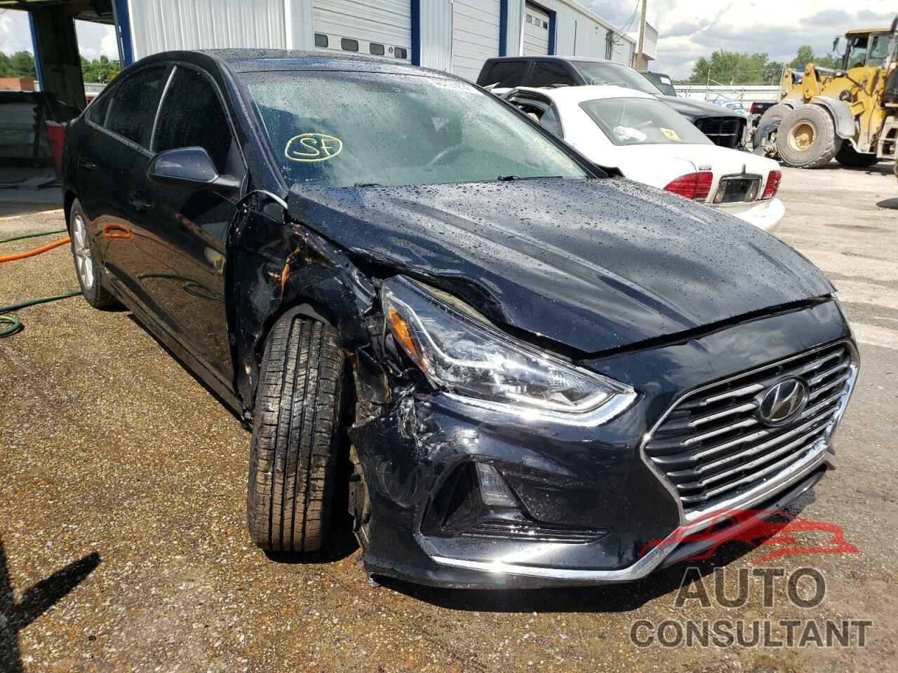 HYUNDAI SONATA 2019 - 5NPE24AF2KH747437